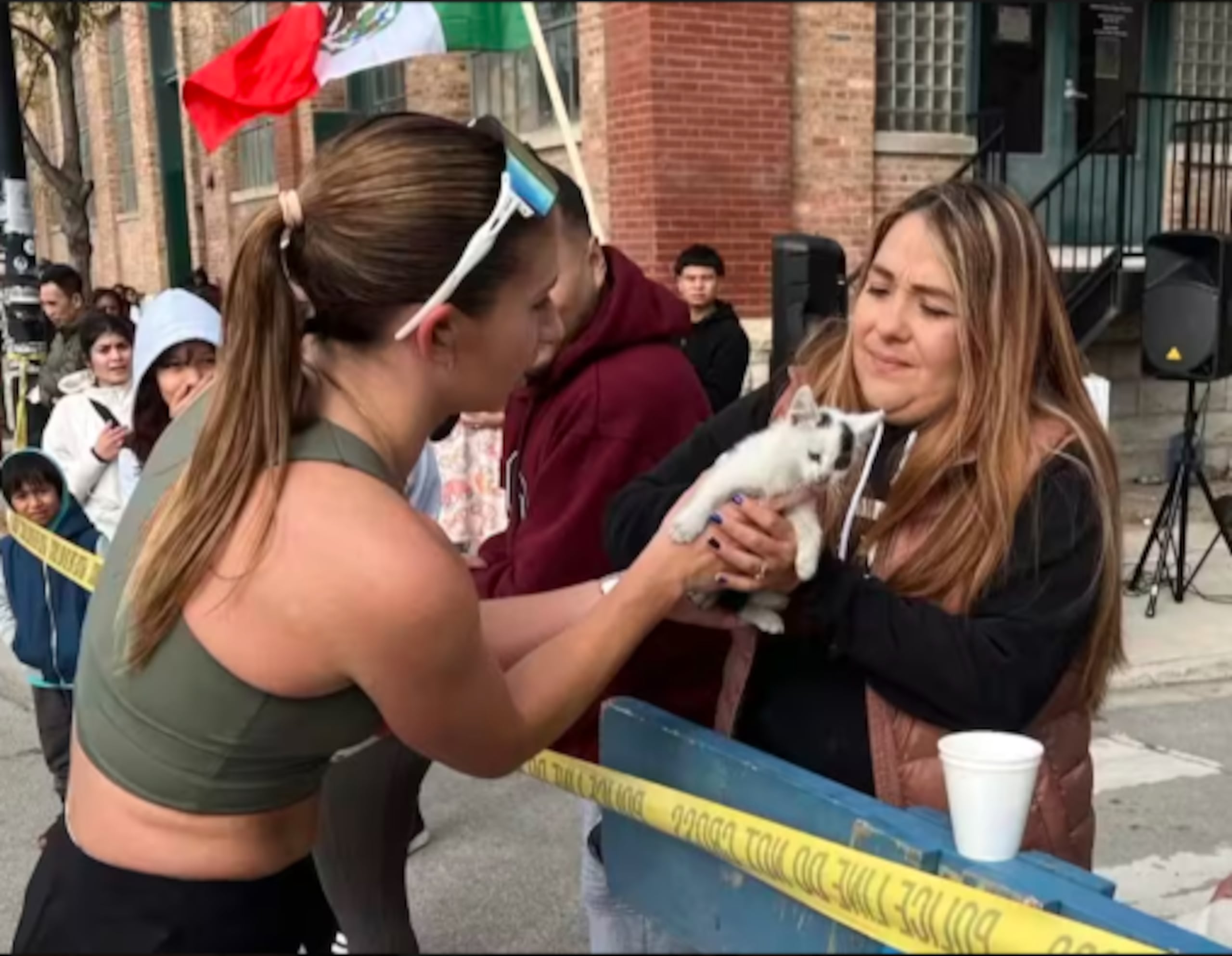 Sarah recogió al gato que estaba a la intemperie y se lo dio a cuidadoras de un refugio.