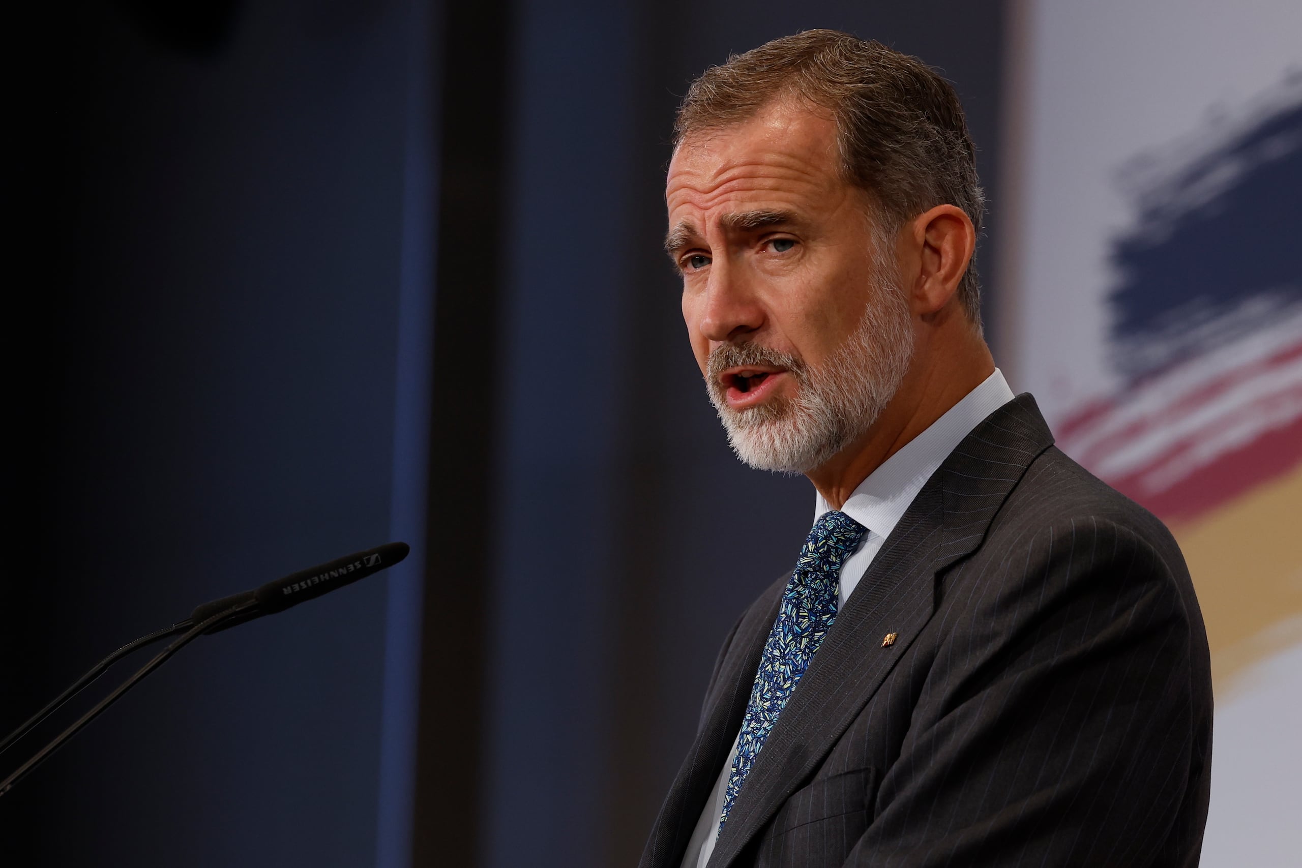 Rey de España, Felipe VI