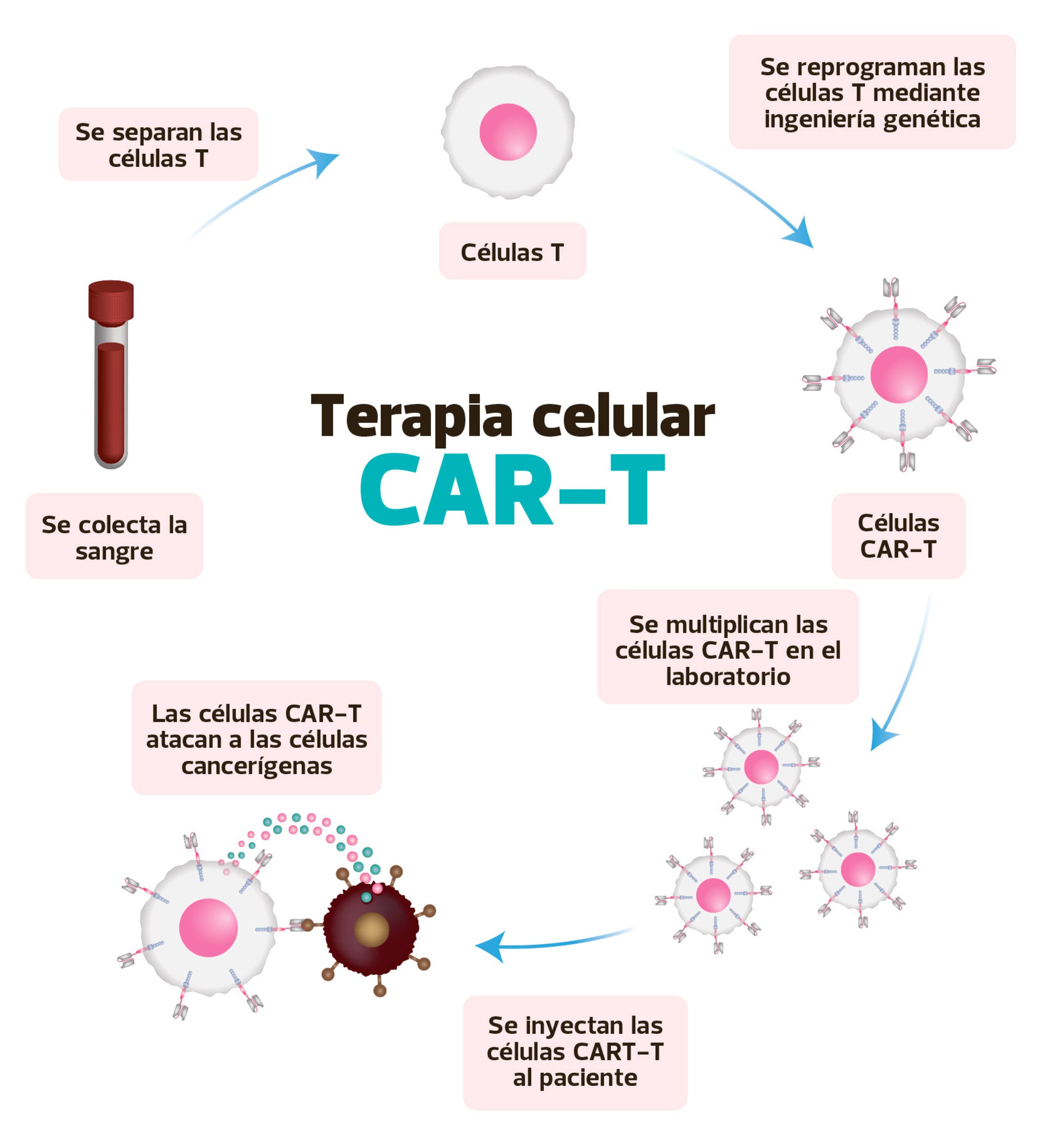 Terapia celular CAR-T