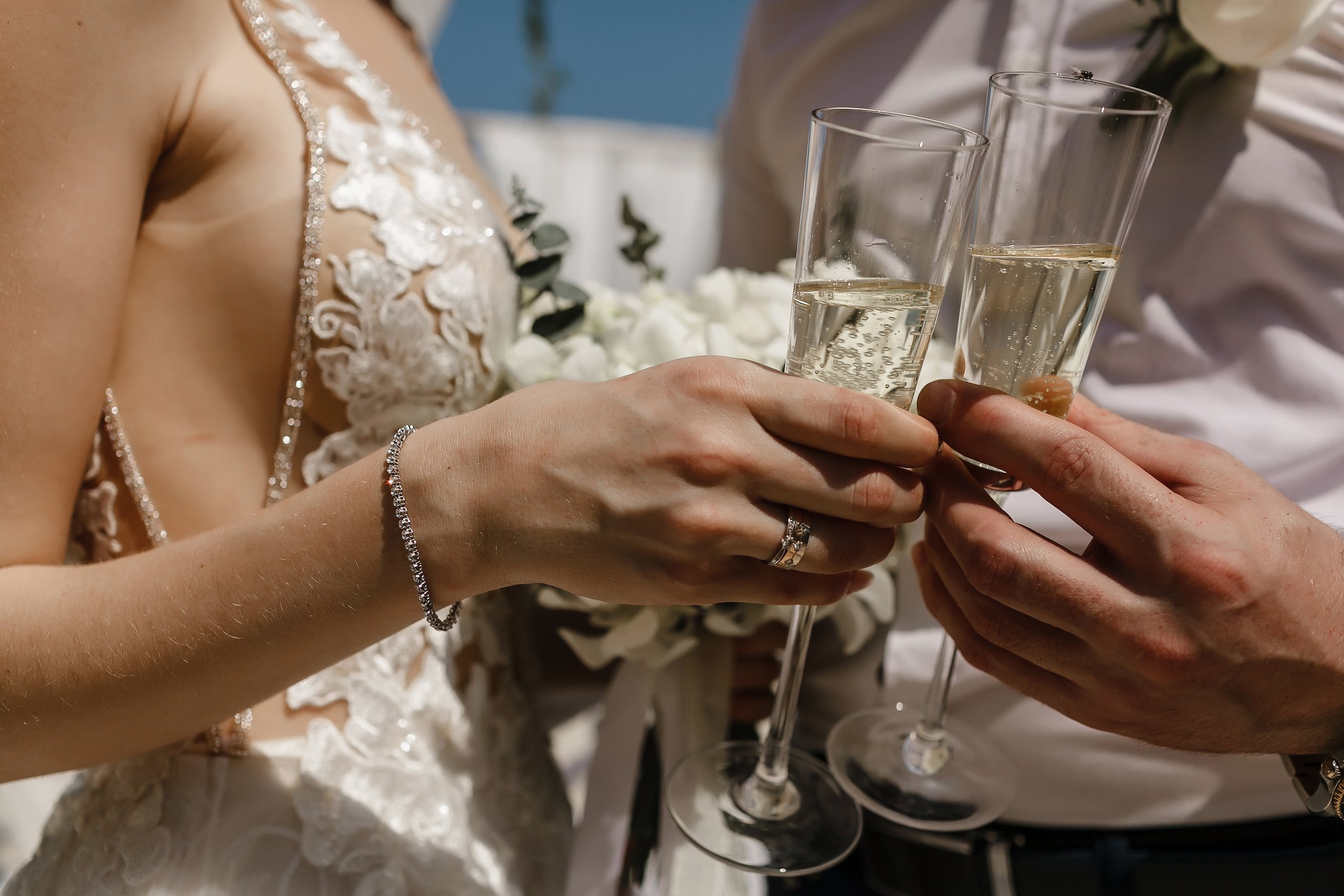 Envía tu felicitación.