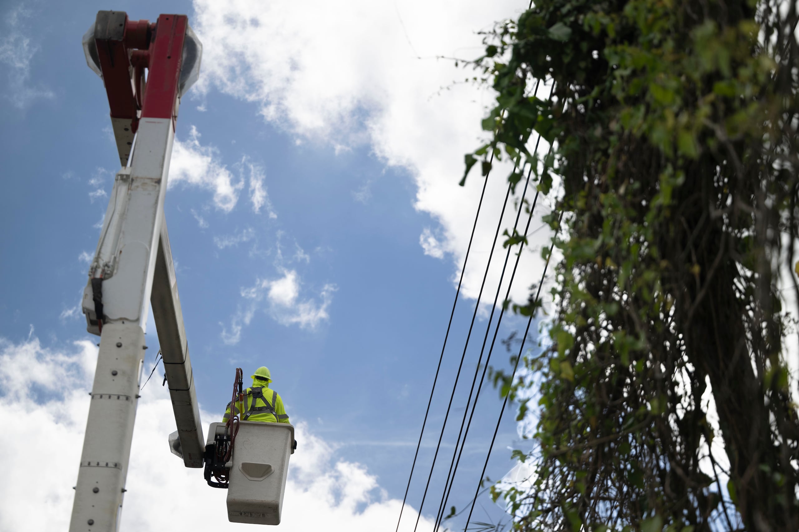 Los trabajos incluyen la reparación de líneas.