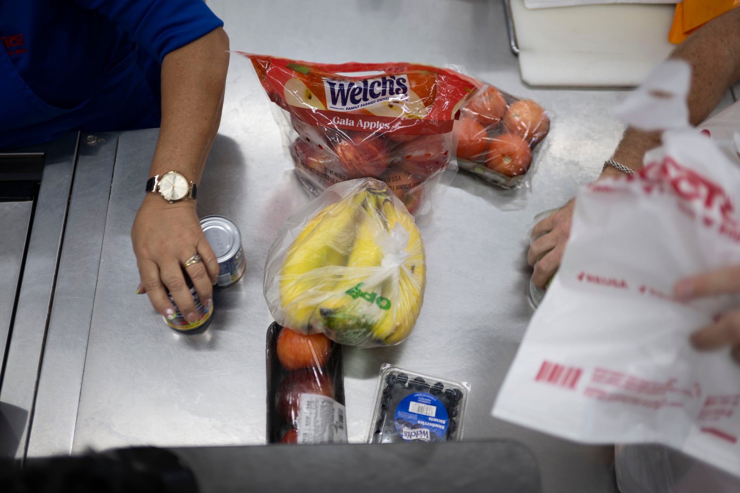 Bajo el PAN, se “ofrecen ayudas económicas a familias con ingresos limitados" para la compra de alimentos. (Archivo / GFR Media)