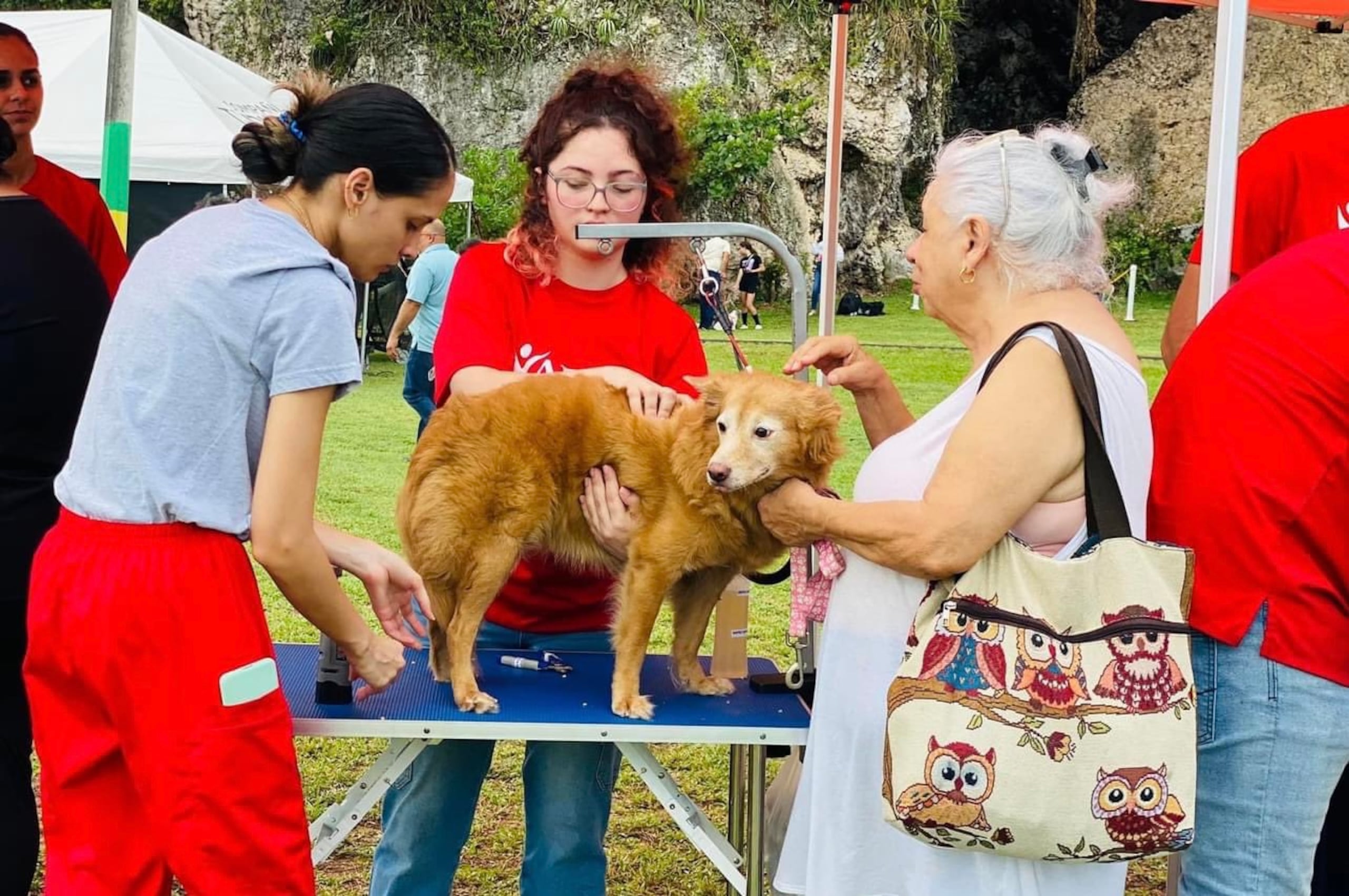 La Feria de Vacunación de Mascotas será en las facilidades del Parque Histórico Cueva María de la Cruz, en Loíza.
