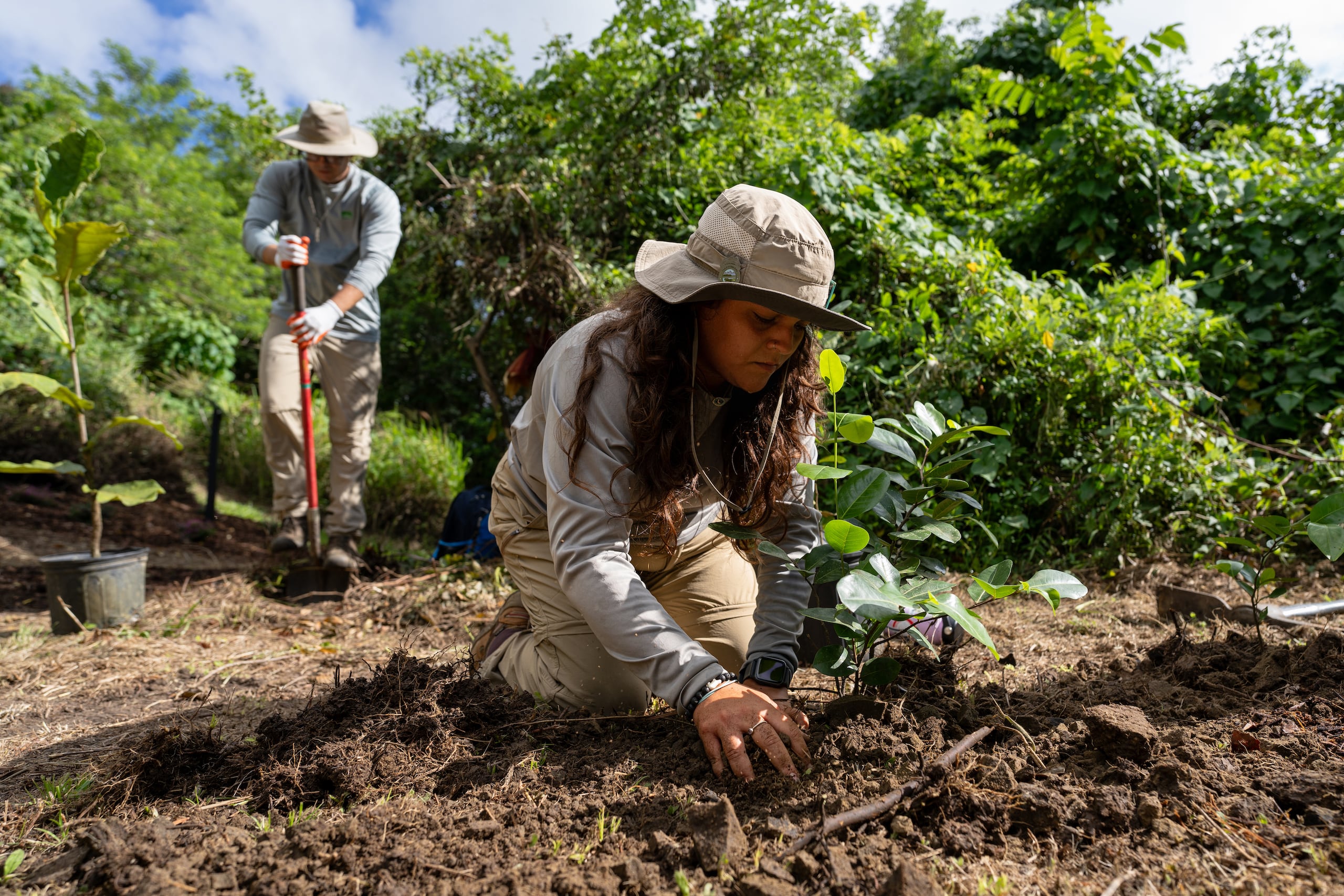 Para la Naturaleza repartirá árboles endémicos, nativos y frutales en distintos puntos de Puerto Rico.