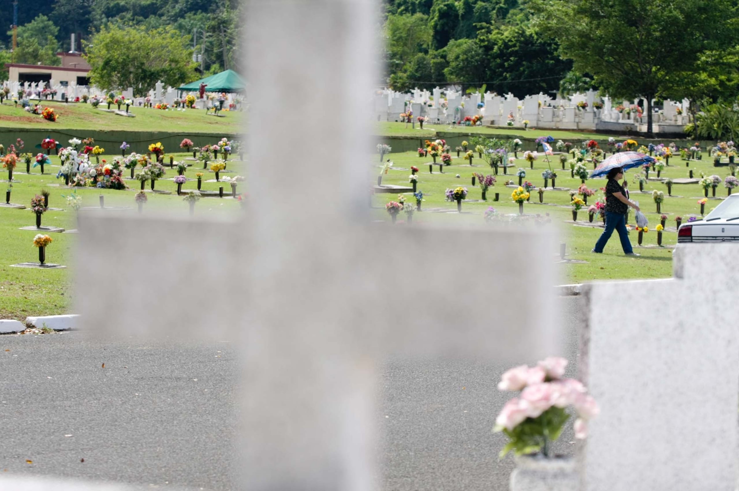 Vista del cementerio Porta Coeli, en Bayamón. (GFR Media)