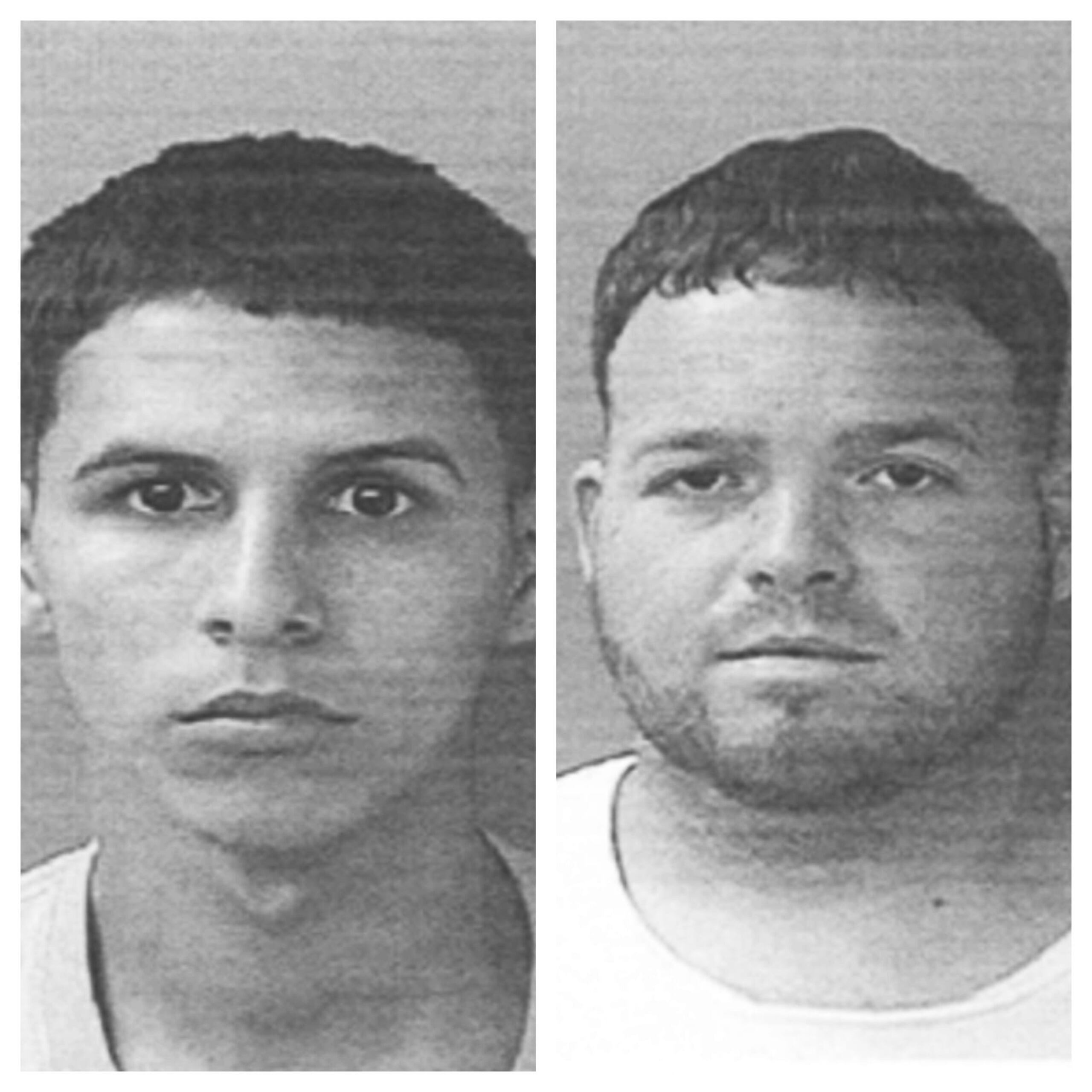 Luis A. Rodríguez Vargas, de 28 años, alias Tanito y Reinaldo M. Fernández Mora, de 21 años, apodado Obi, ambos vecinos de Isabela, fueron acusados por la posesión de un vehículo hurtado mediante "carjacking".