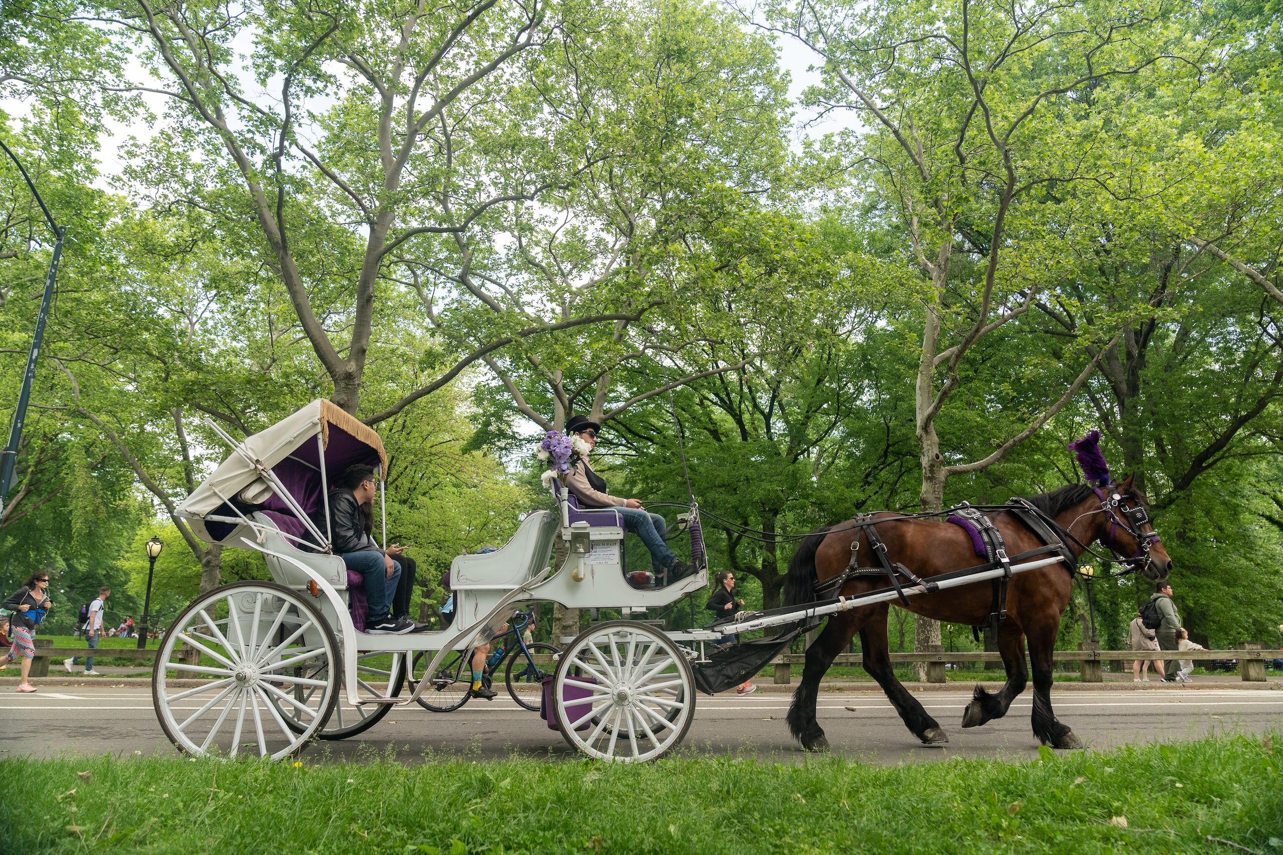 Turistas recorren en un coche de caballos el Central Park, en Nueva York (EE.UU.). Imagen de archivo. EFE/ Ángel Colmenares