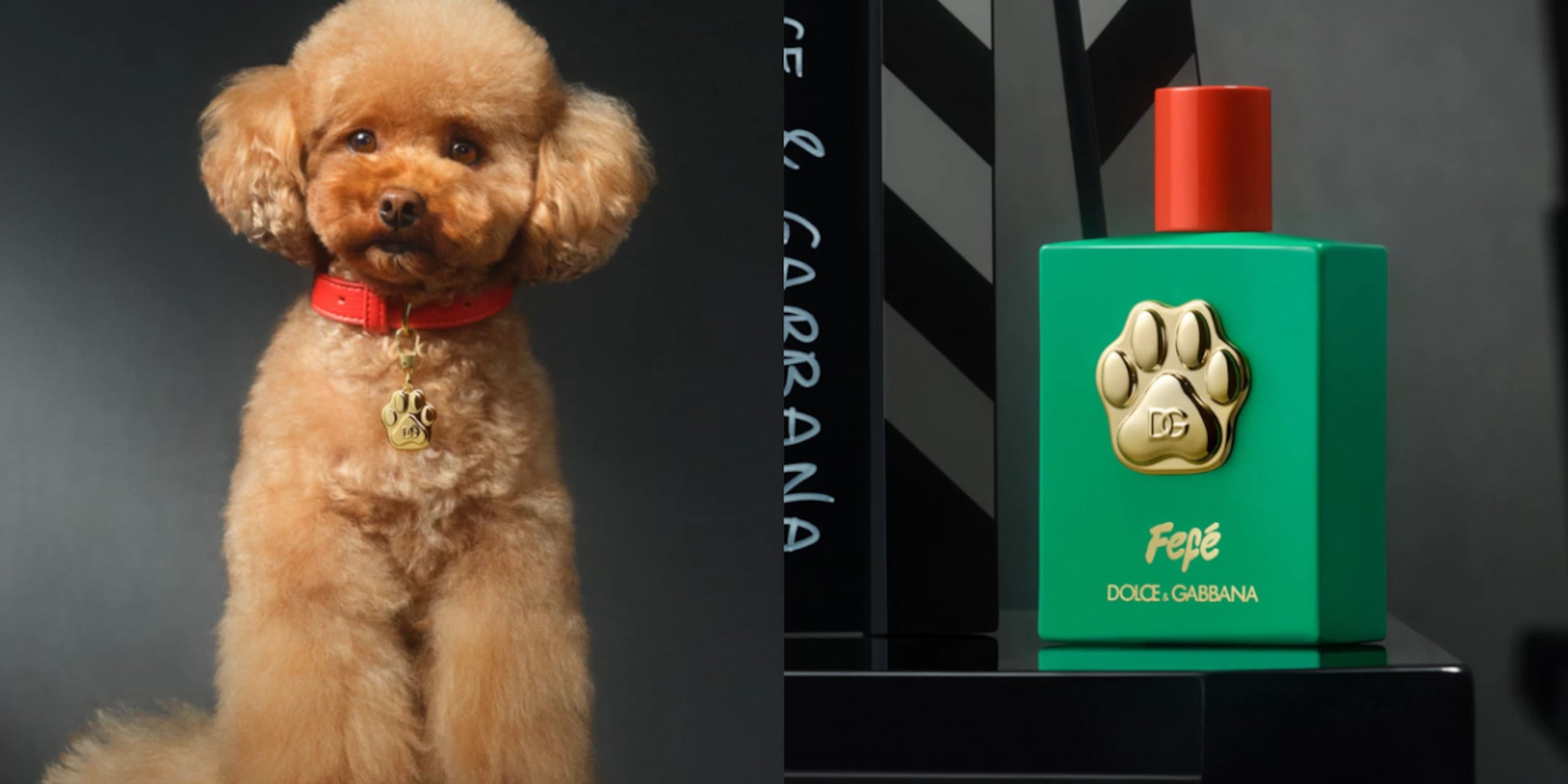 Perfume para perros de Dolce & Gabbana.
