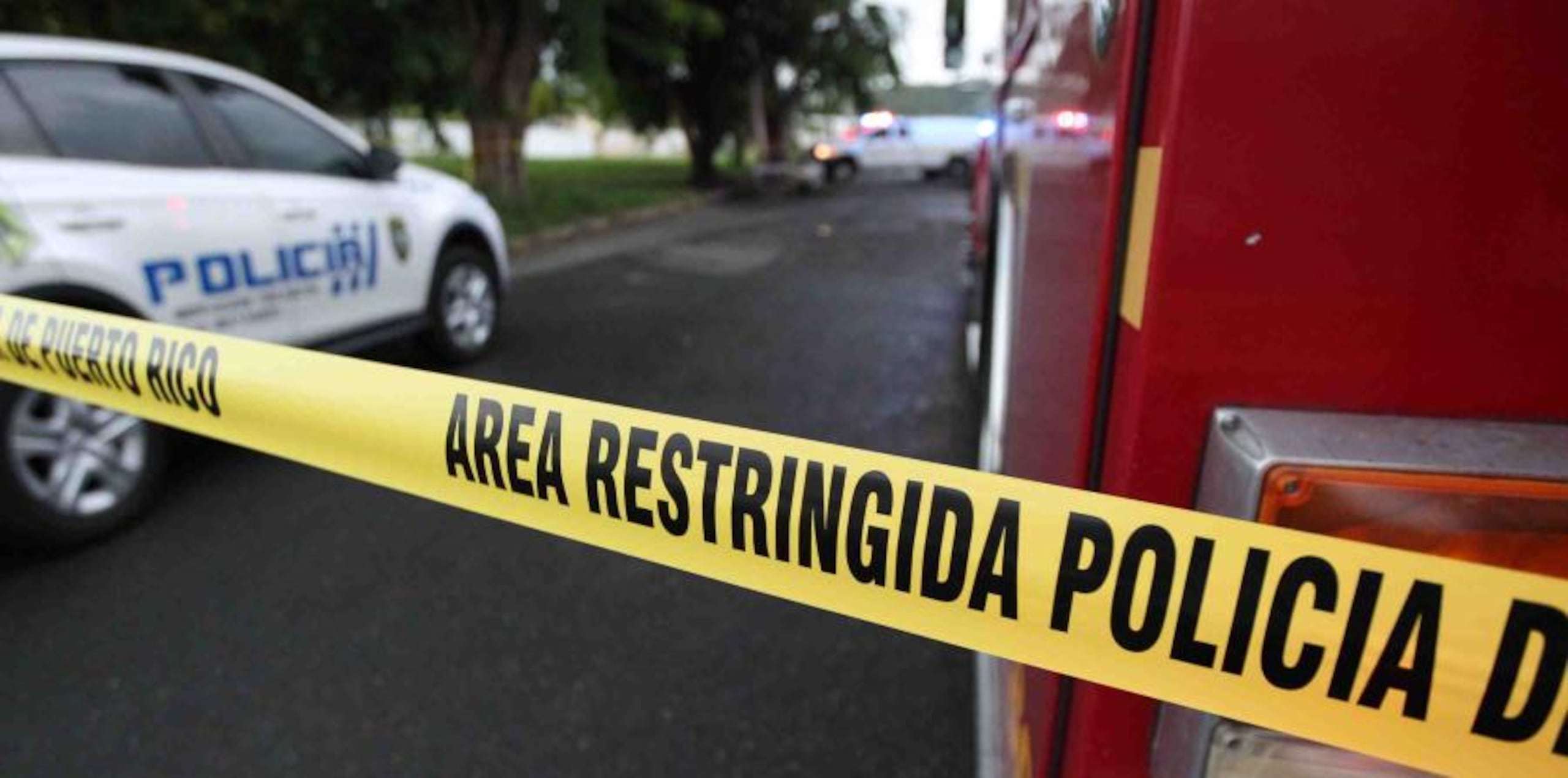 Uno de ellos fue encontrado dentro de un vehículo incendiado. (Archivo / GFR Media)