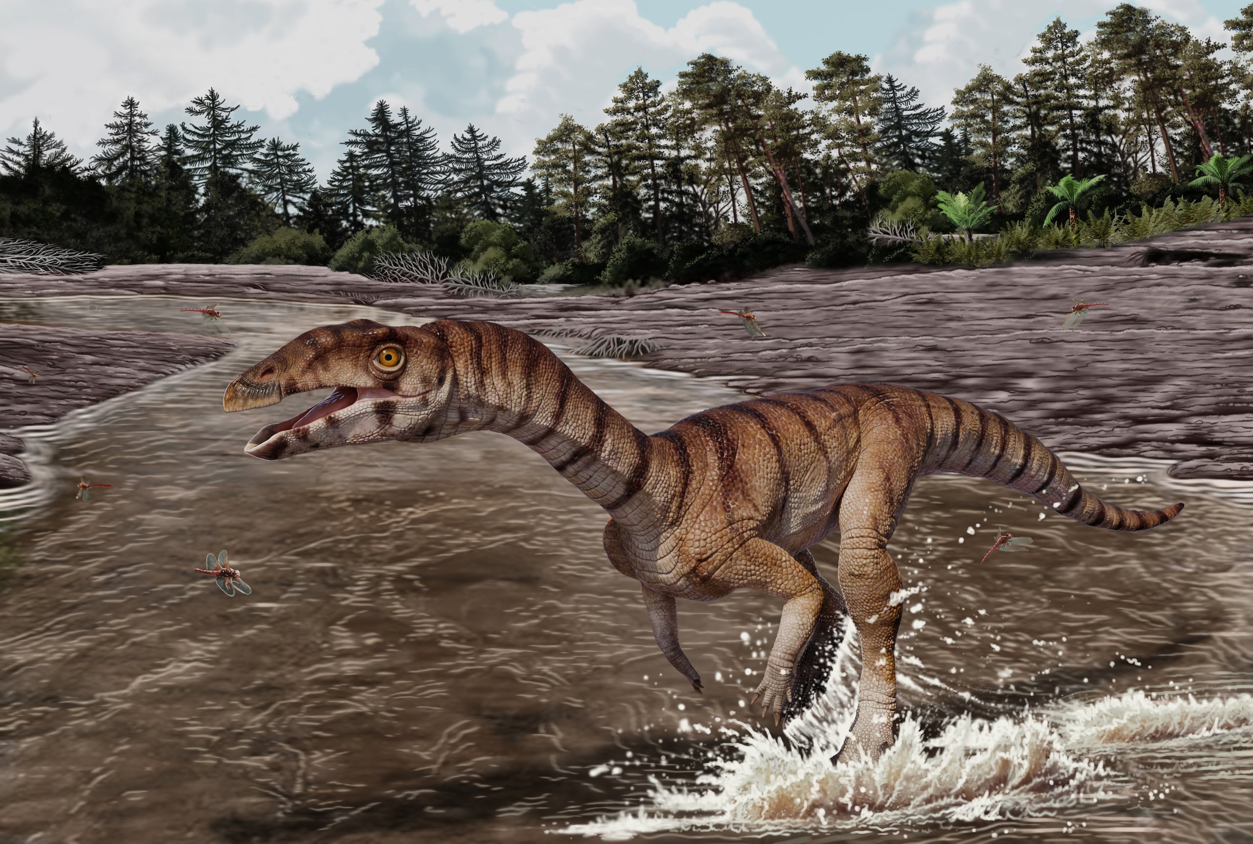Reconstrucción del "Labrujasuchus expectatus".