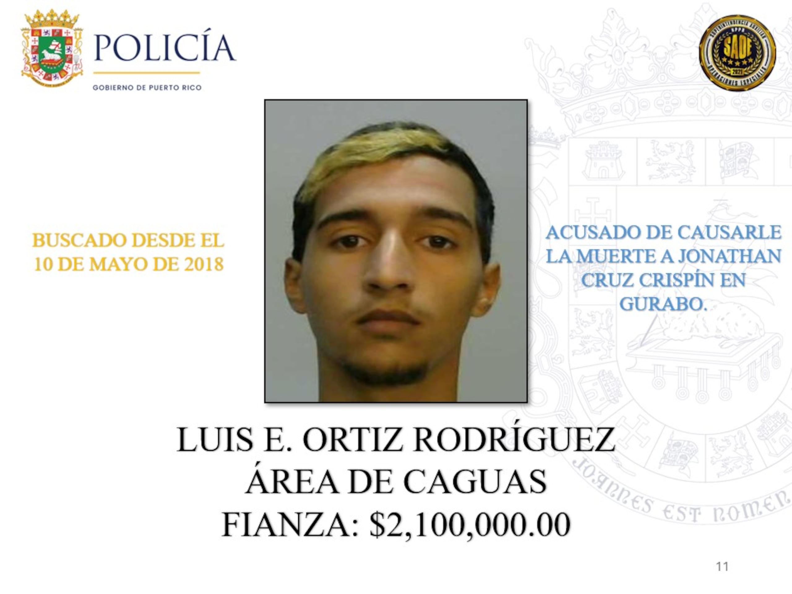 Luis E. Ortiz Rodríguez | La Policía de Puerto Rico exhorta a la ciudadanía a colaborar con las autoridades para lograr la captura de 25 individuos que permanecen prófugos de la justicia y contra quienes pesan órdenes de arresto por delitos de asesinato ocurridos en distintos municipios de la Isla.
Estos individuos son considerados de alta peligrosidad y son buscados por hechos que han cobrado la vida de múltiples víctimas. Algunos de ellos han evadido la justicia durante años, mientras que otros enfrentan acusaciones recientes por asesinatos cometidos durante el presente año.