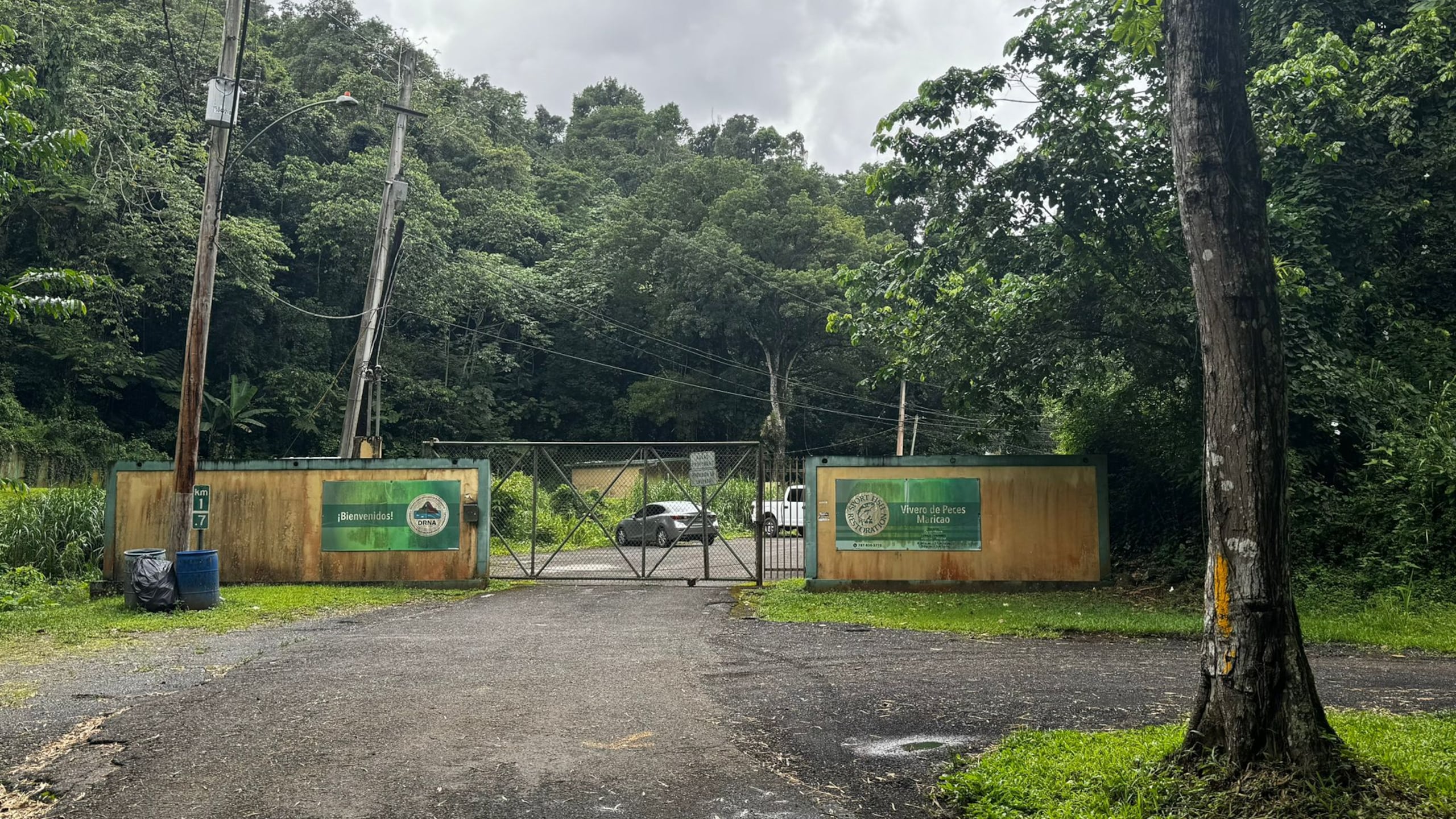 El Vivero de Peces permanece cerrado tras el paso del huracán María.
