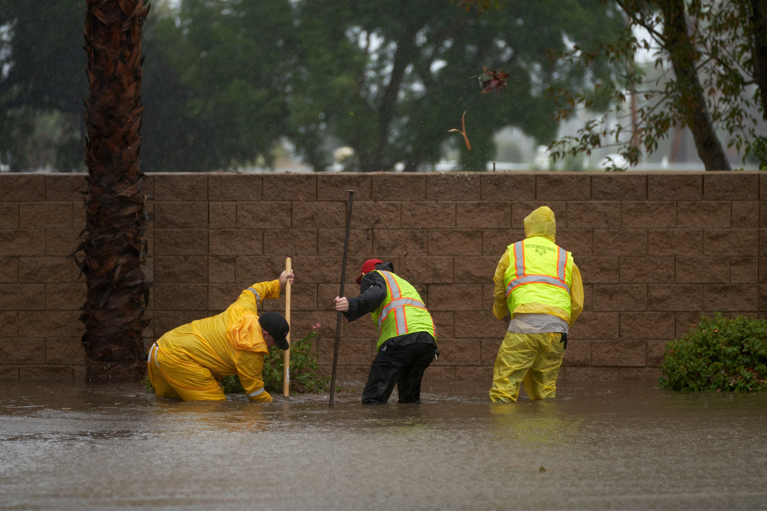 Se espera que el sistema alcance intensidad de tormenta tropical el lunes.