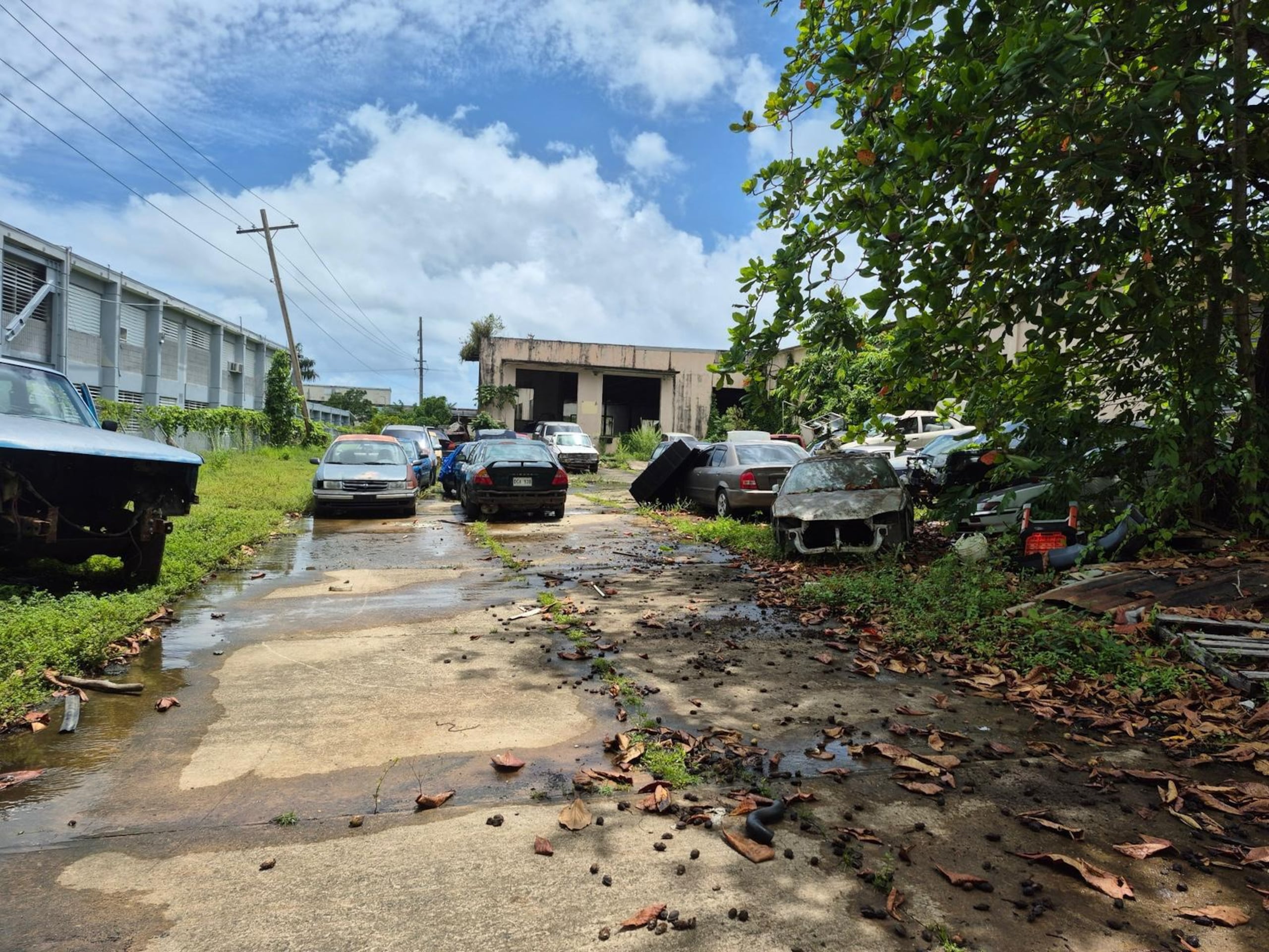 Una fábrica abandonada en Yabucoa, propiedad de la Compañía de Fomento Industrial era utilizada como depósito de vehículos chatarra.