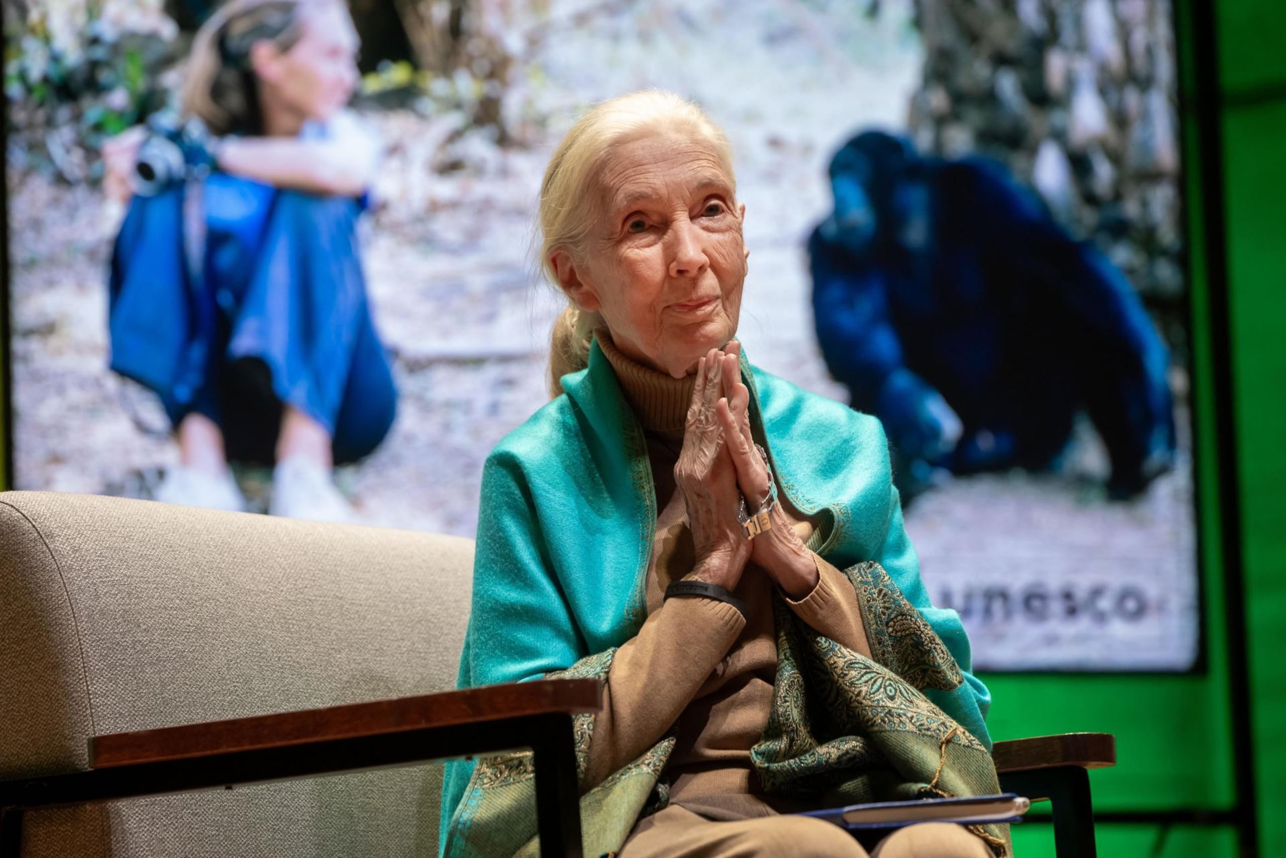 Imagen de archivo de la etóloga y medioambientalista británica Jane Goodall (EFE)