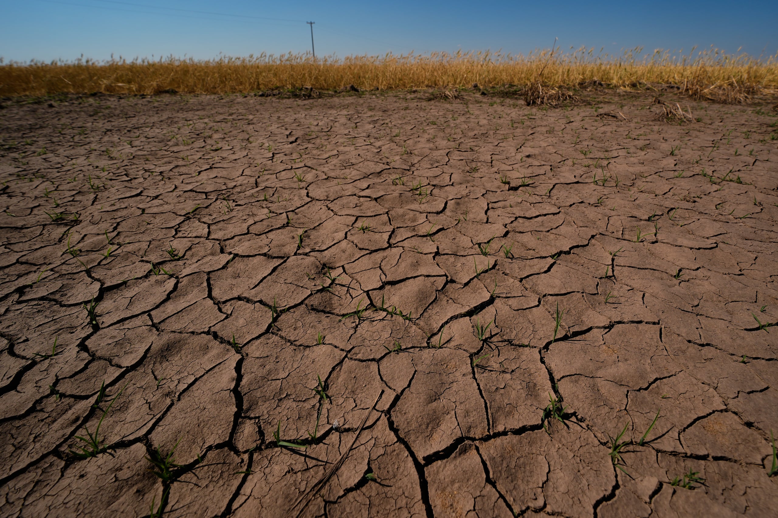 Se prevén temperaturas superiores a la media en la mayor parte de las zonas habitadas del planeta.