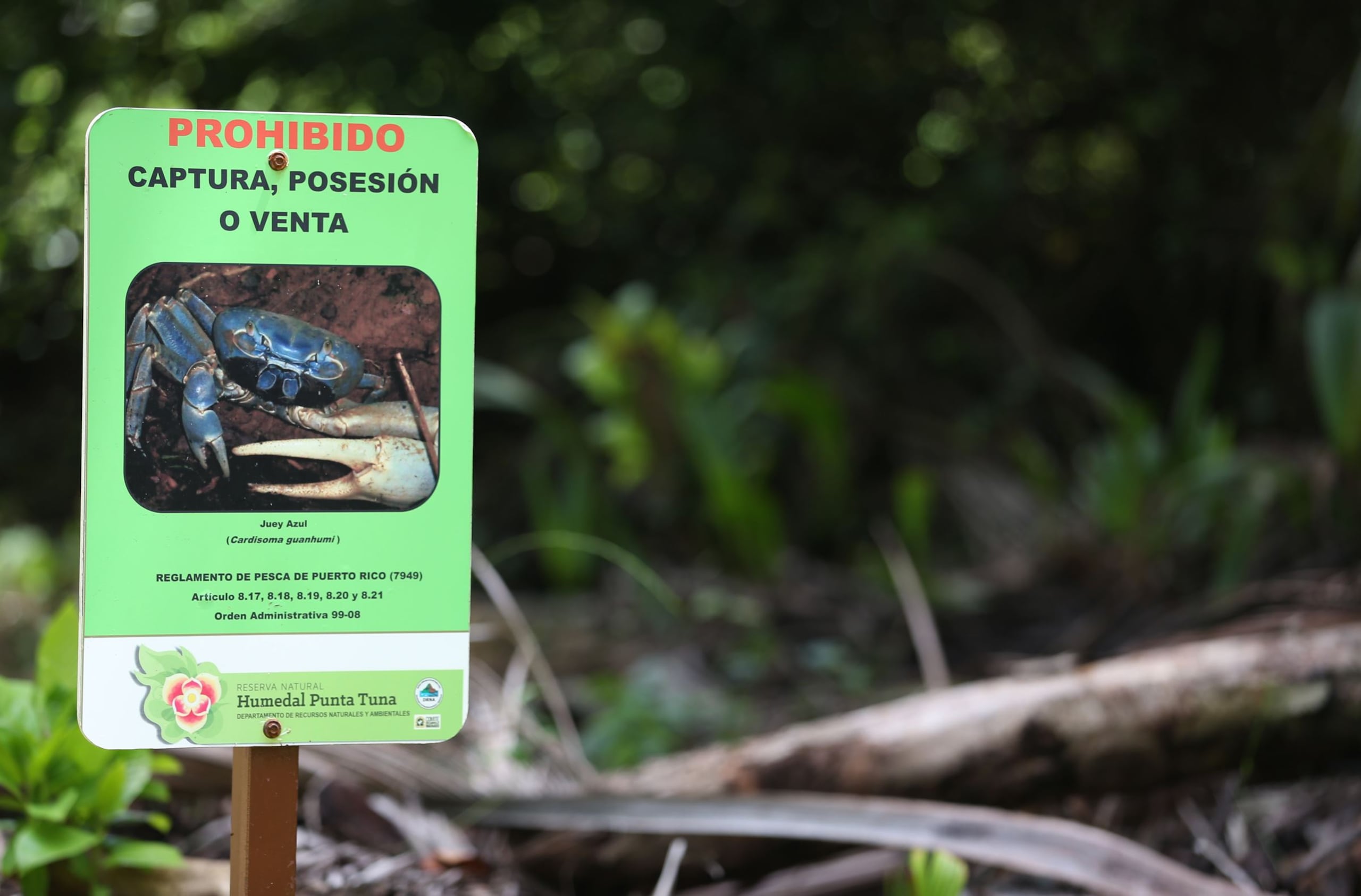 La Reserva Natural Humedal Punta Tuna es ejemplo de trabajo colectivo