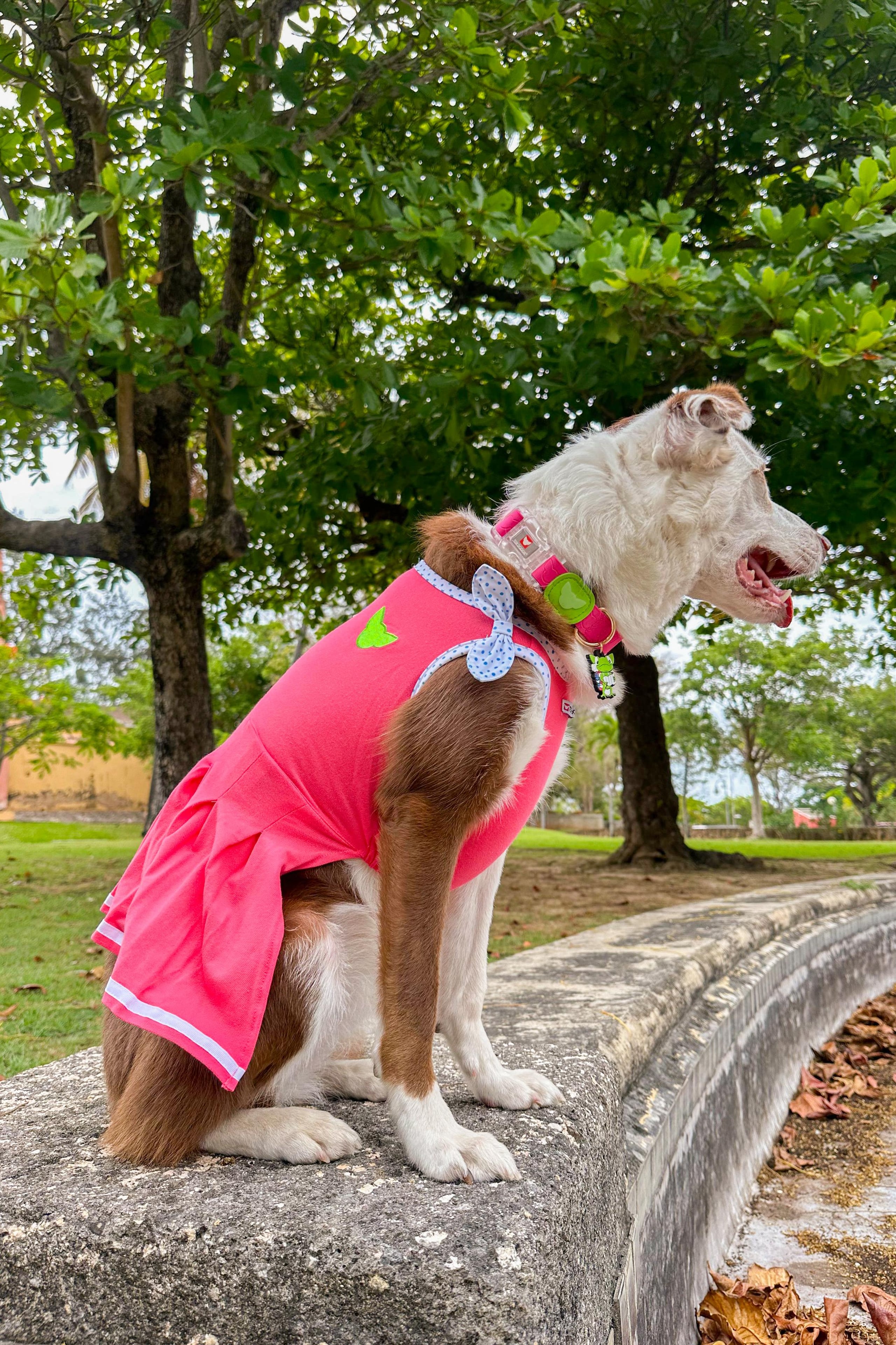 El "Dog Dress" es uno de los accesorios nuevos de esta colección veraniega.