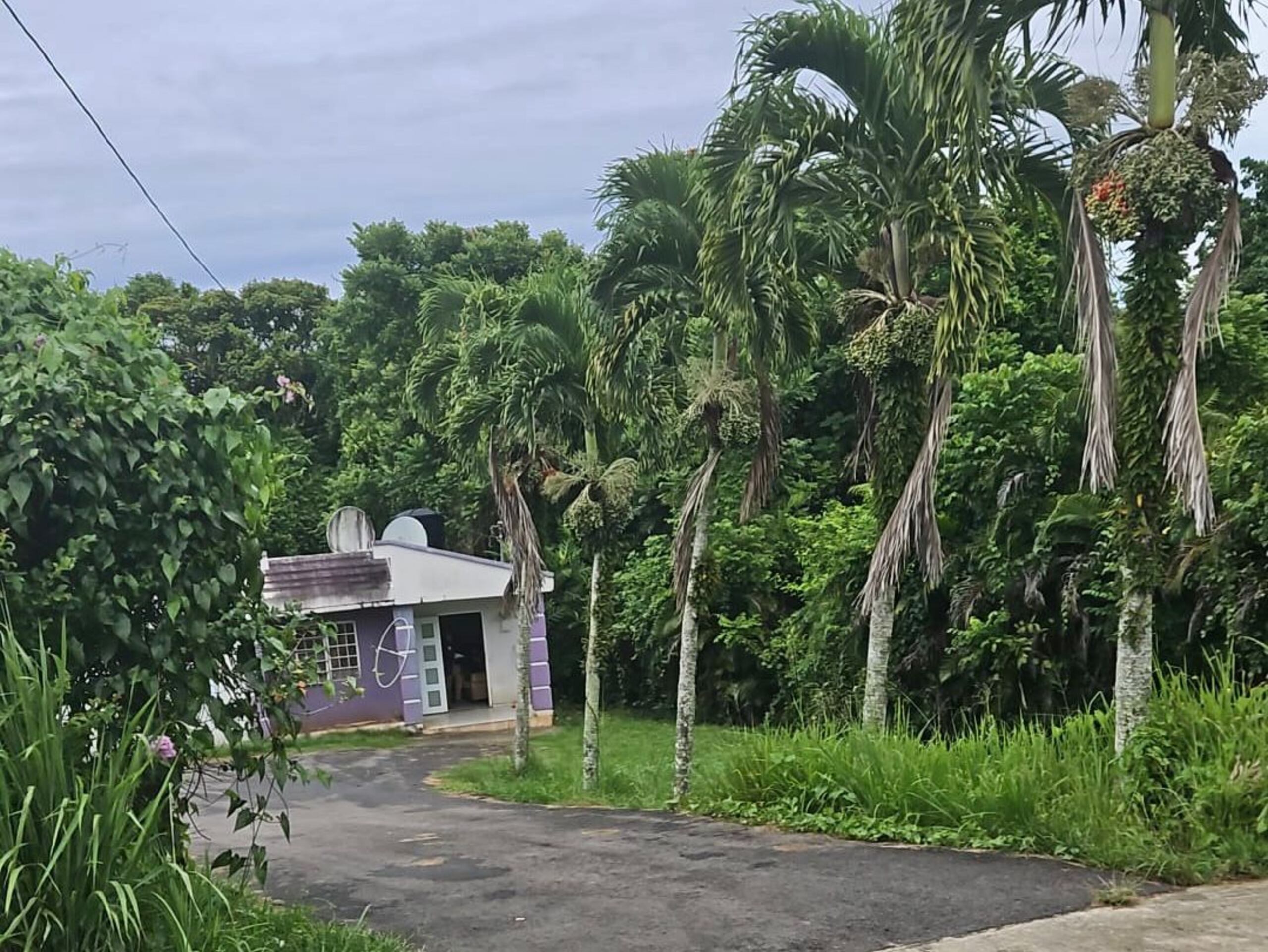 Durante la tarde del jueves, la residencia en barrio Quebradas de Camuy donde reside la madre de Benito Hernández Millet, permanecía desolada mientras la Policía continaba con su investigación. Al hombre se le imputa haber asesinado a la expareja de esta, Jaime Aníbal Muñiz Carrillo, frente a la casa.