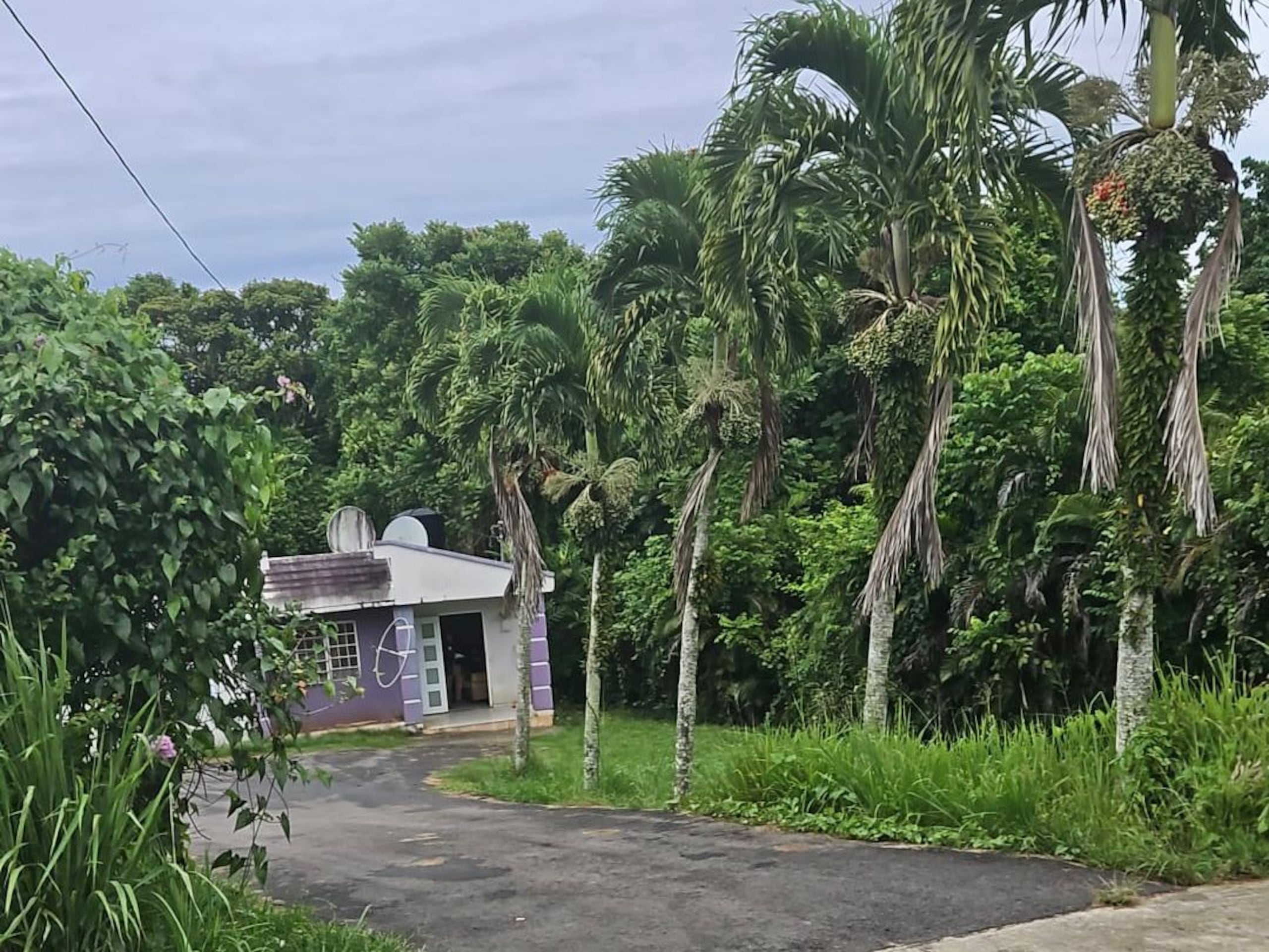 Aunque el cadáver fue hallado en el kilómetro 4.3 de la PR-455, los hechos habrían ocurrido en una residencia del mencionado sector, donde el supuesto victimario sorprendió a la víctima con su madre.