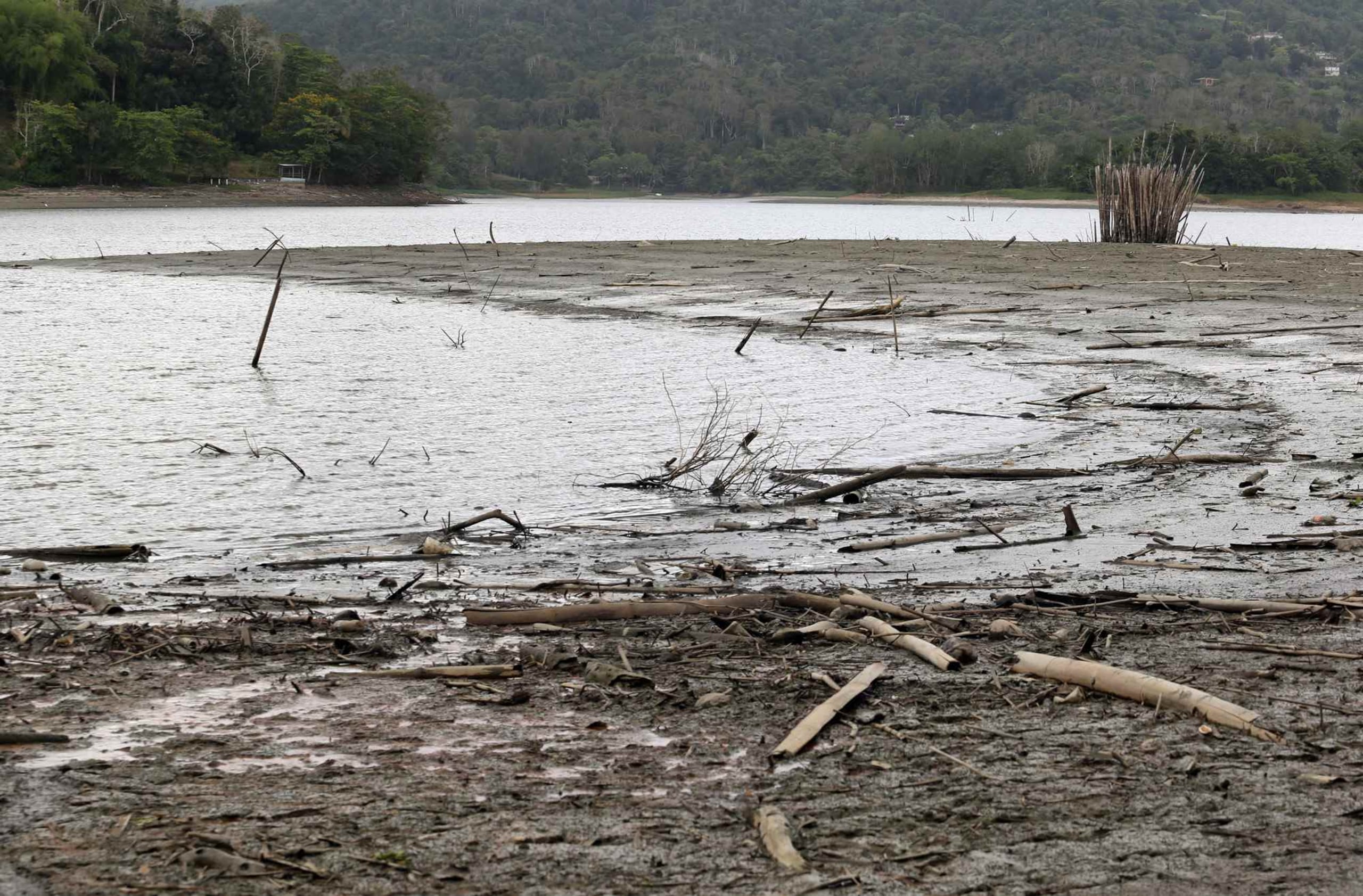 El Niño es un fenómeno que se crea en el Pacífico y se manifiesta en el Atlántico con poca lluvia.