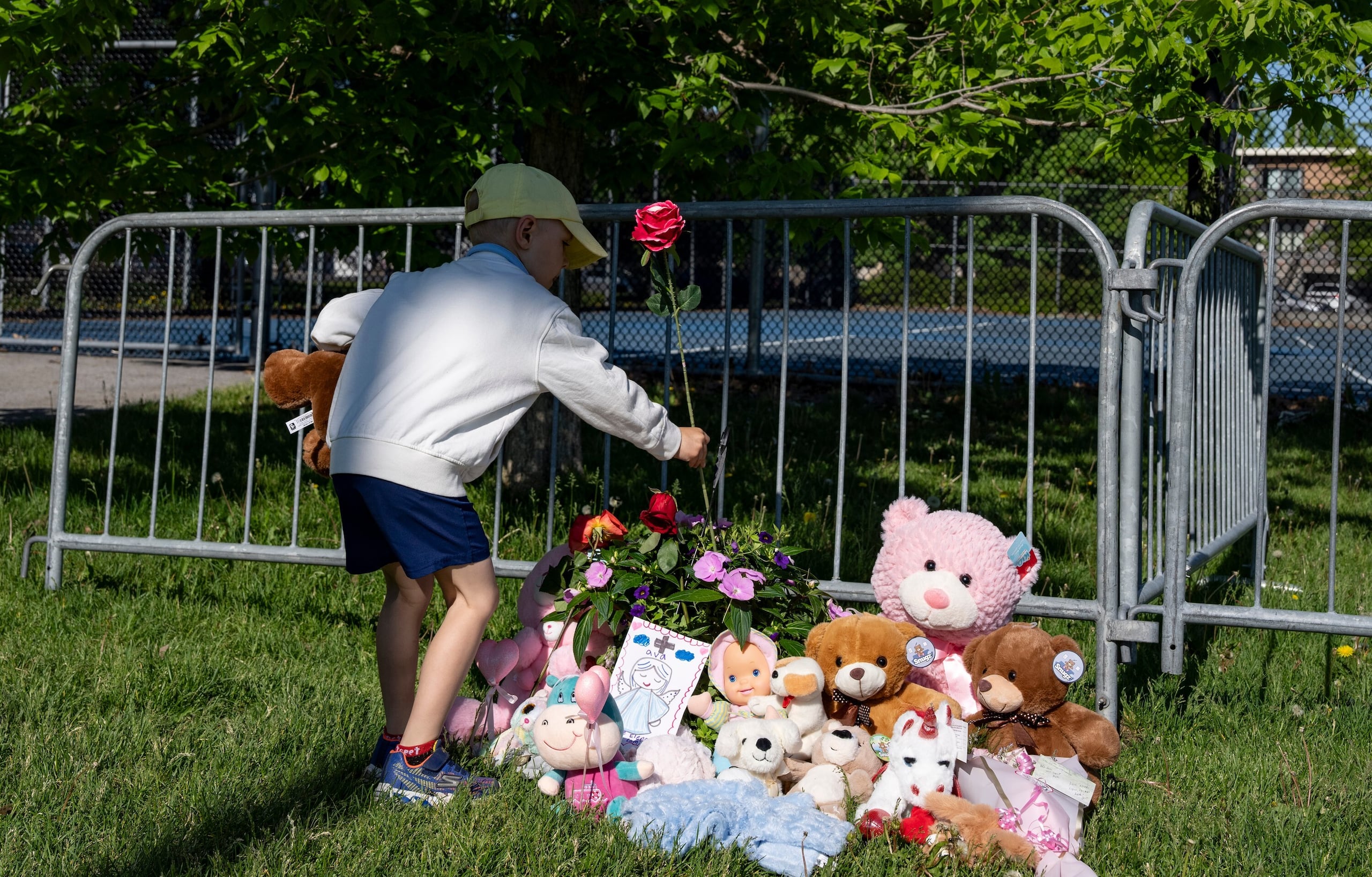 Un niño coloca flores en un altar improvisado en el Parc Ouellette, después de que una niña falleció cuando un castillo inflable fue arrastrado por el viento, el miércoles 3 de junio de 2026, en Montreal. (Christinne Muschi/The Canadian Press via AP)