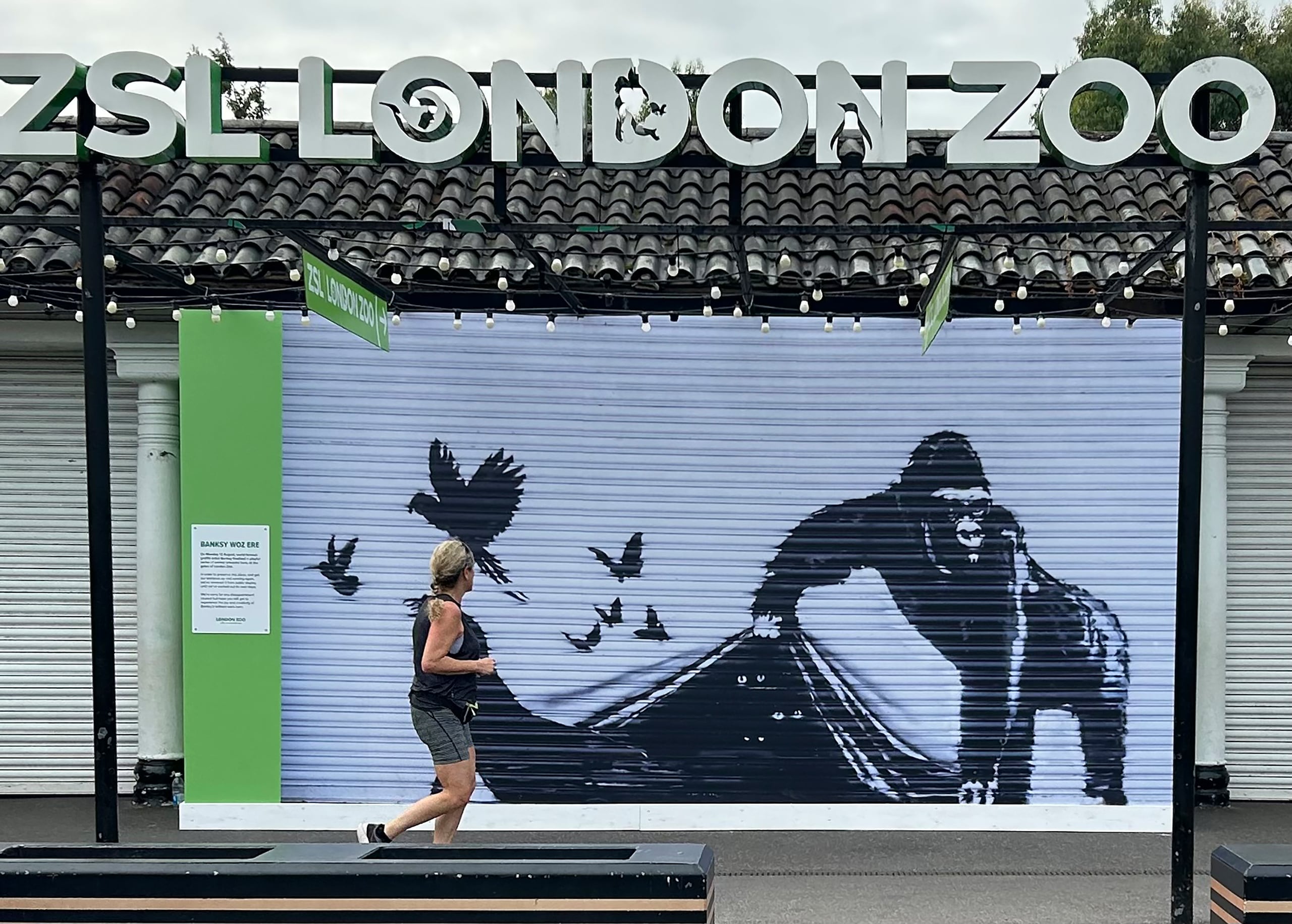 Una corredora pasa frente a una reproducción de un mural de Banksy afuera del Zoológico de Londres.