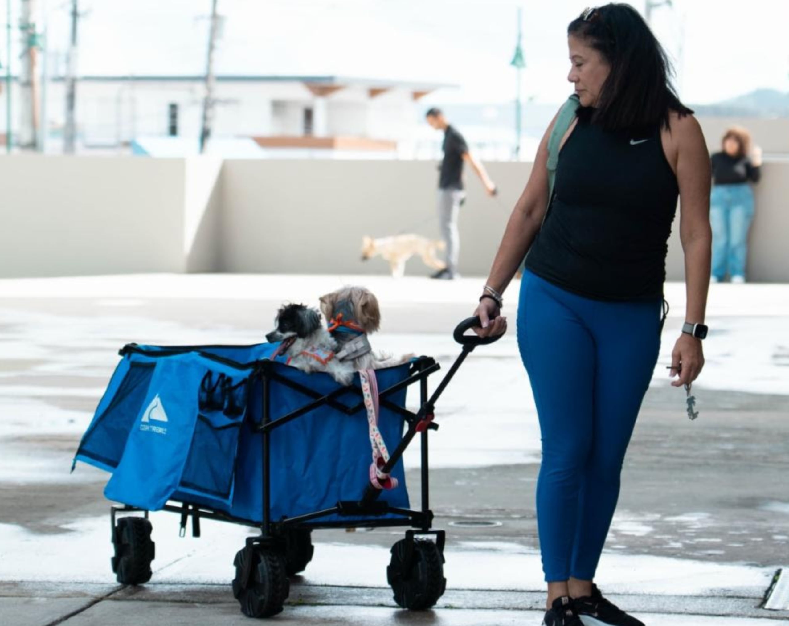 En Cidra, el municipio facilitó la plazoleta de la alcaldía para la actividad.