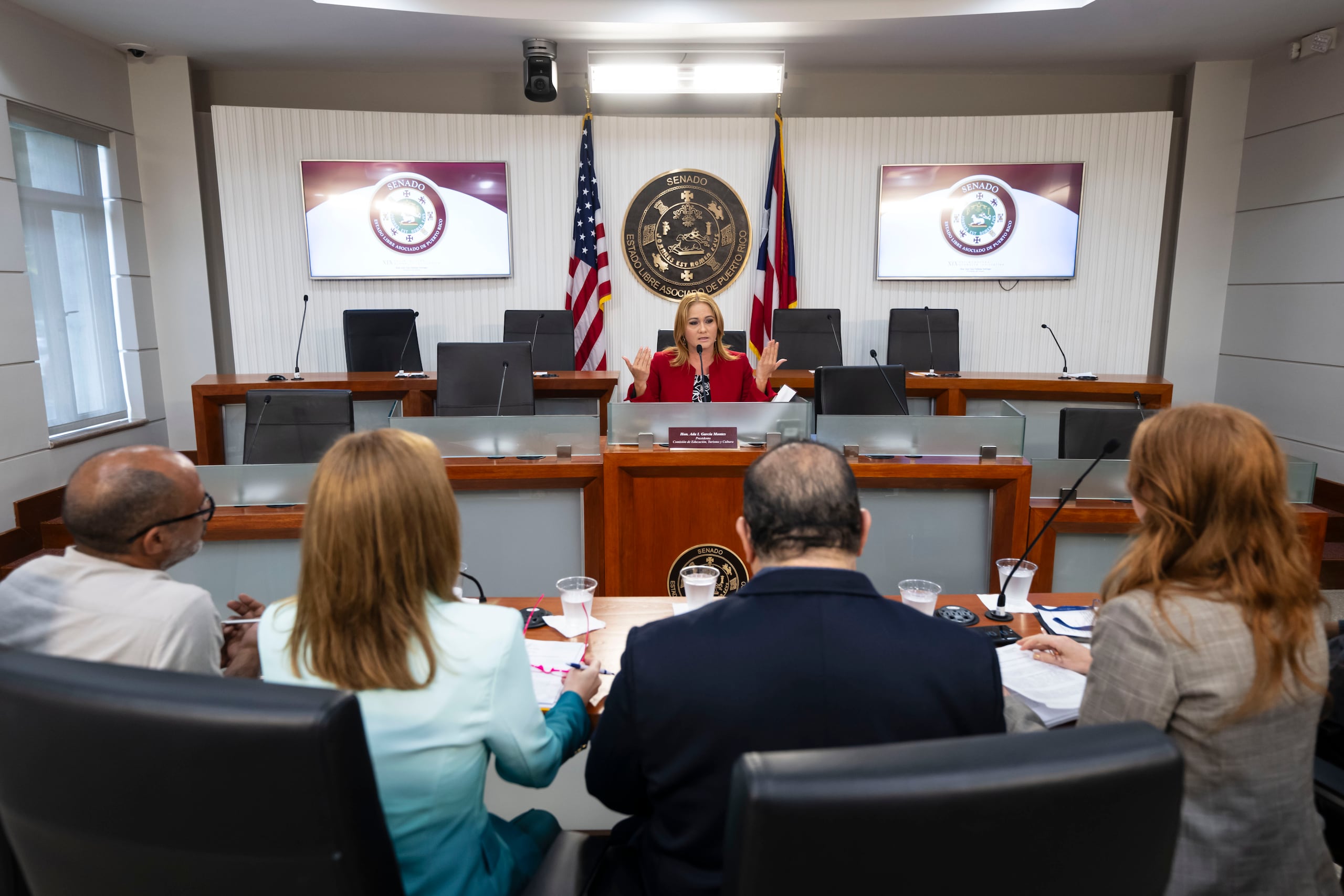 La Senadora Ada García, presidente de la Comisión de Turismo, atiende a los deponentes en la vista celebrada hoy en el Capitolio.