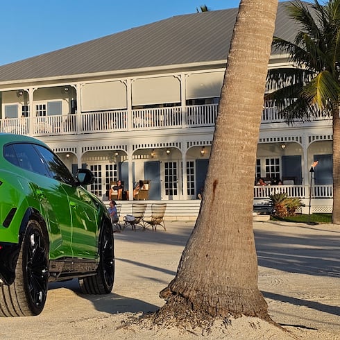 Fotos: Bellos, potentes… y también híbridos