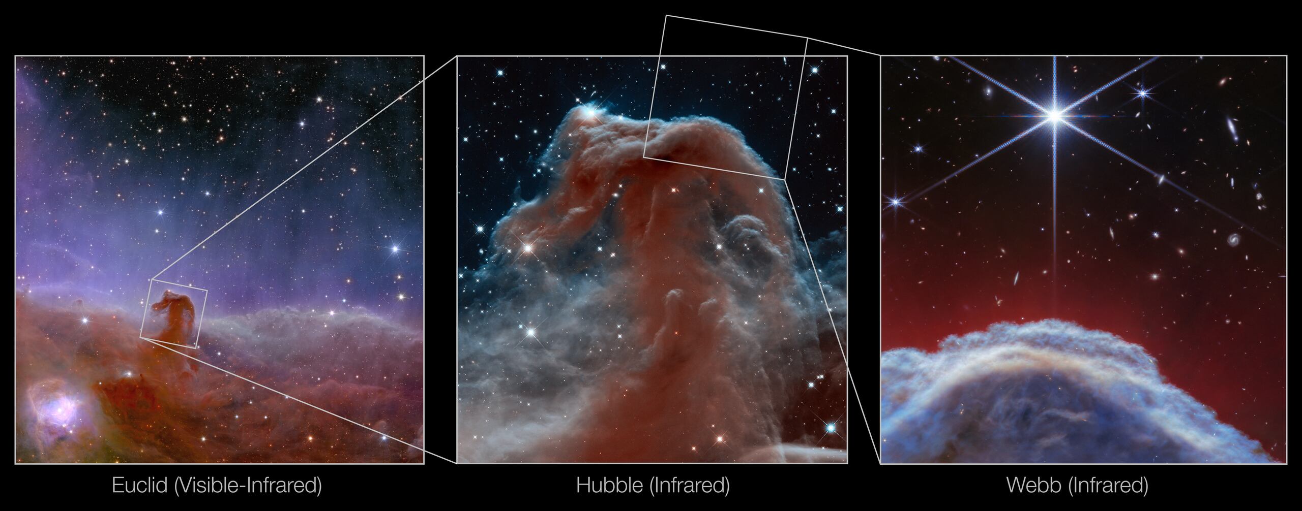 El telescopio espacial James Webb ha captado imágenes de la icónica nebulosa "Cabeza de Caballo" -una nube de gas fría situada a unos 1.300 años luz de la Tierra- con un nivel de detalle y una resolución sin precedentes. Fotografía facilitada por la NASA/ESA. EFE