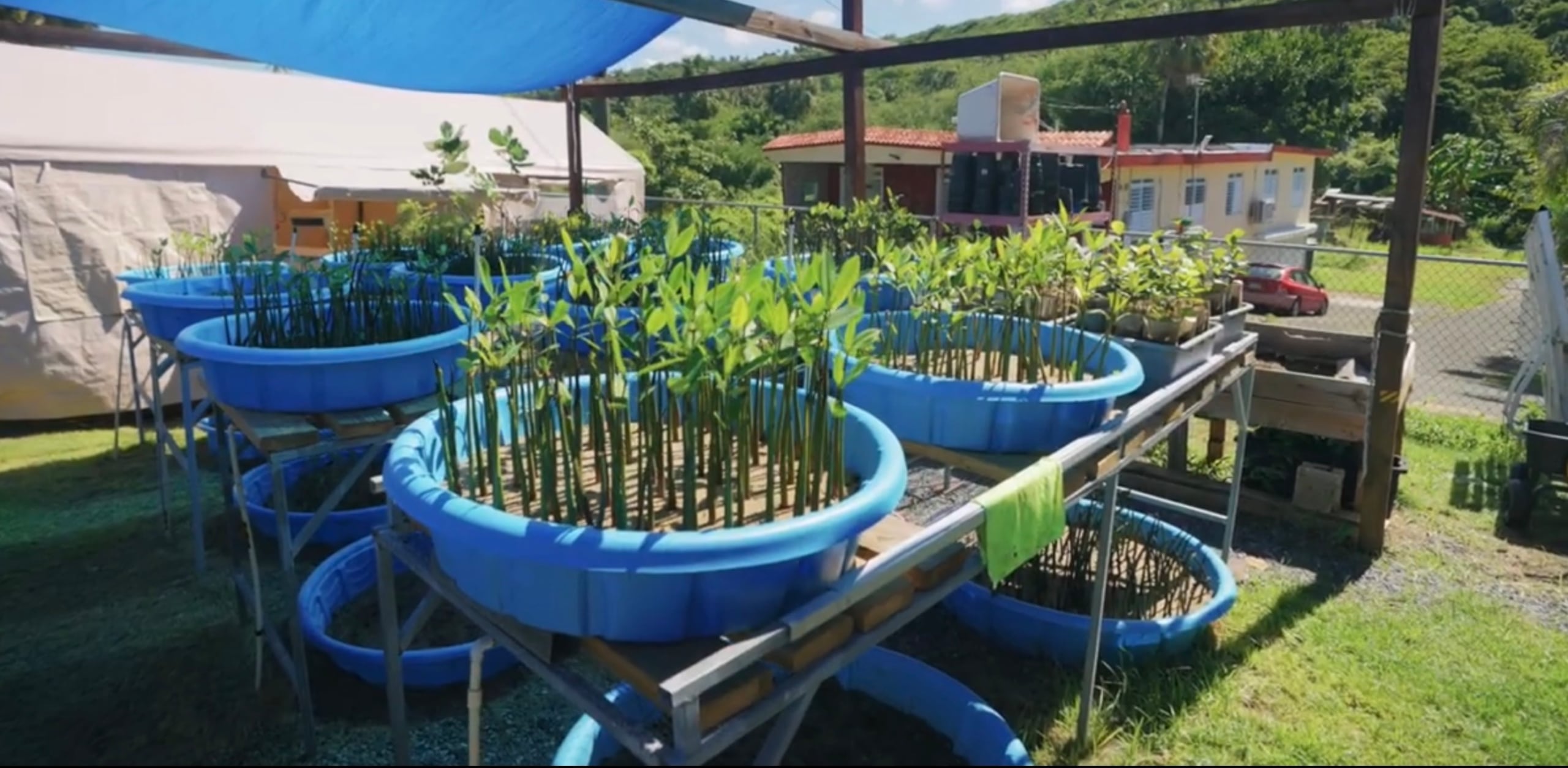 El alcalde de Isabela, Ing. MIguel ‘Ricky’ Méndez Pérez, informó oficialmente los resultados de las labores realizadas en ocho (8) de las diez (10) escuelas públicas cerradas en dicha municipalidad. En las mismas se invirtieron recursos, tiempo y labor, para generar opciones educativas, de trabajo y desarrollo económico, desde la llegada de Méndez en el 2021.