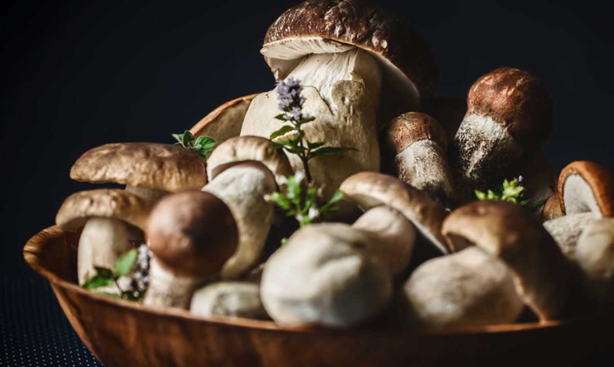 El poder nutricional de las setas Agaricus bisporus: más que un ingrediente versátil