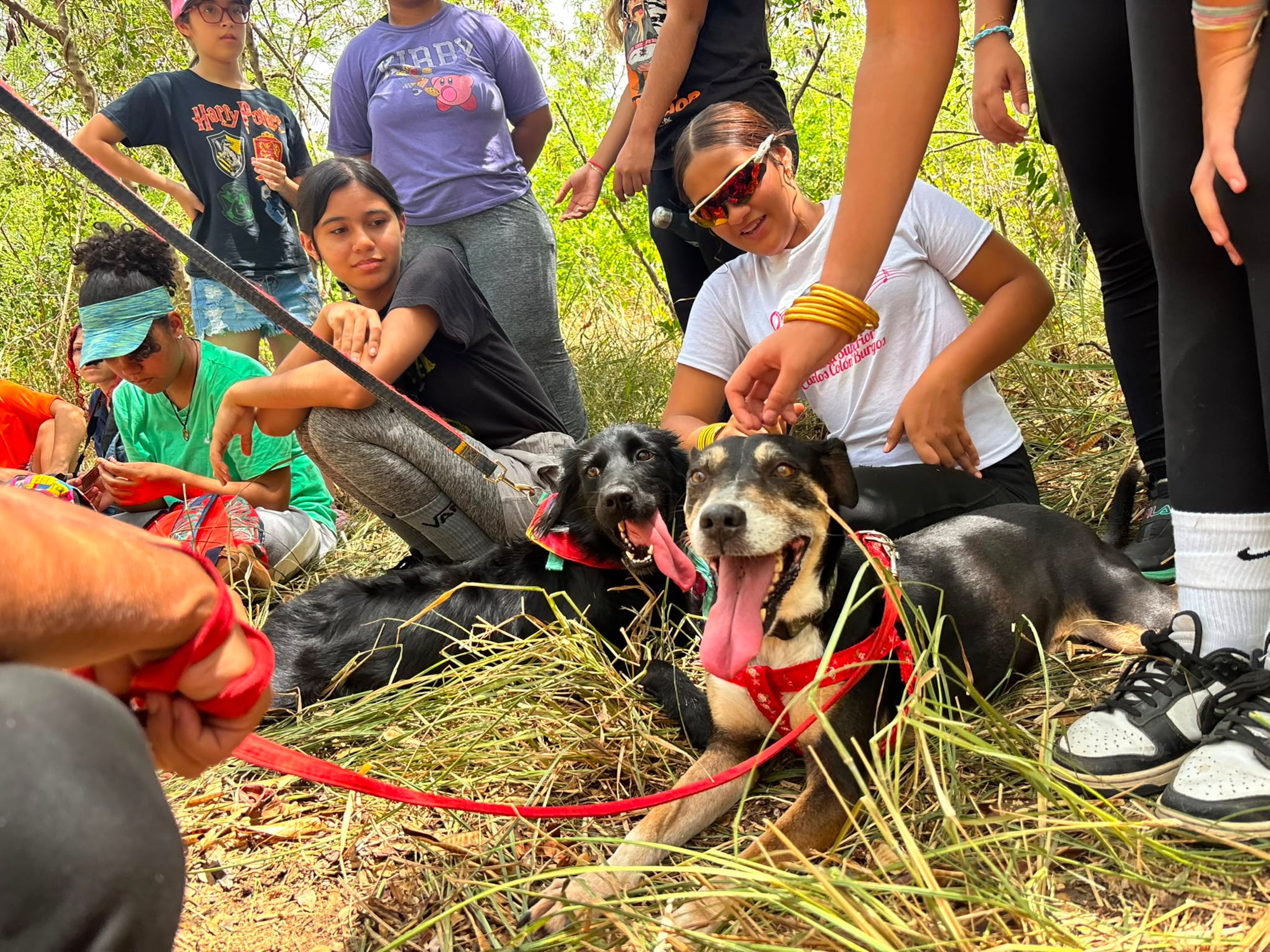 Durante la visita al bosque, los participantes asistieron a un taller sobre el rescate y cuidado de animales abandonados.