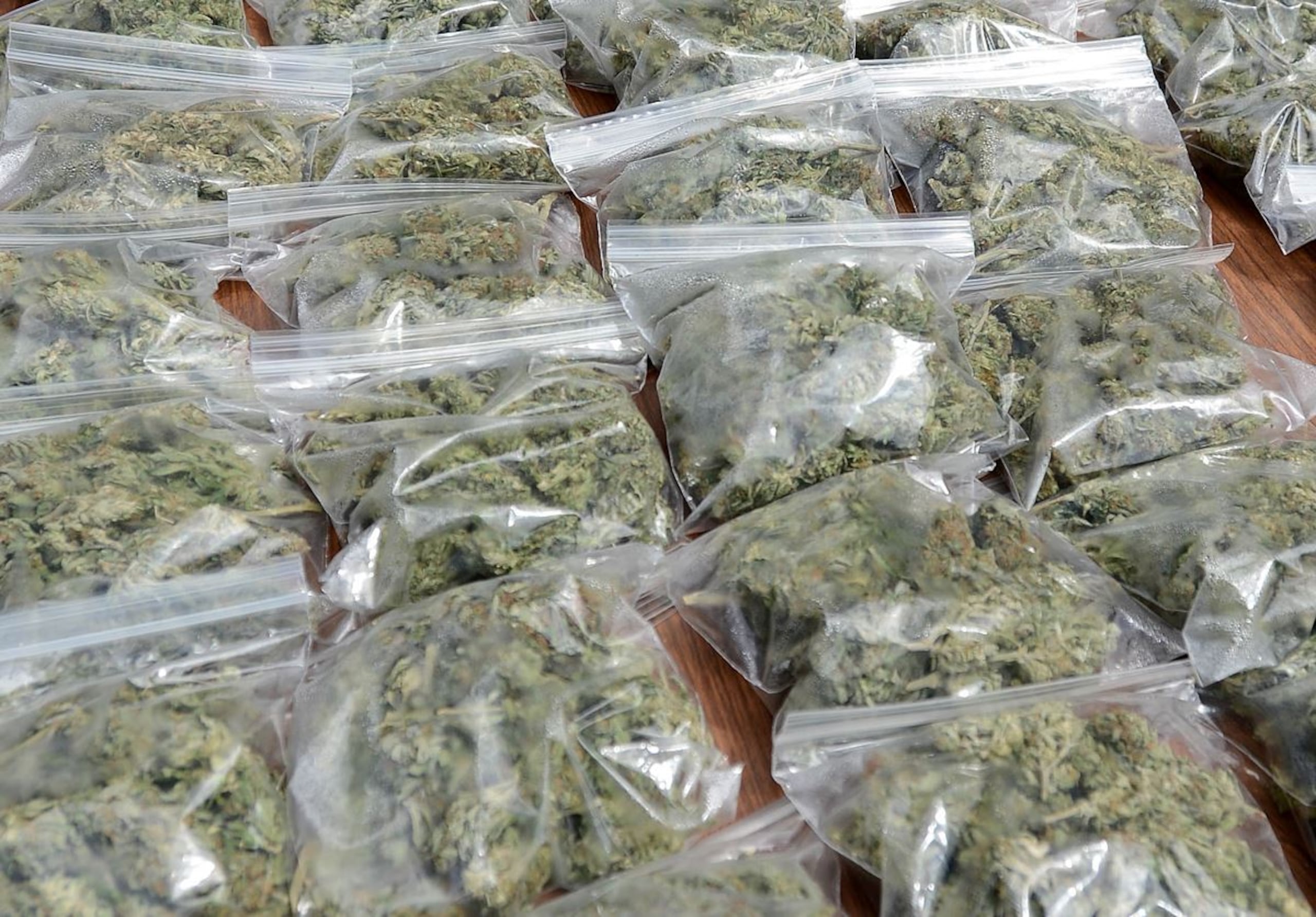 Las 12 libras de marihuana se encontraban dentro de una caja de cartón del correo, por lo que se investiga su procedencia. (GFR Media)