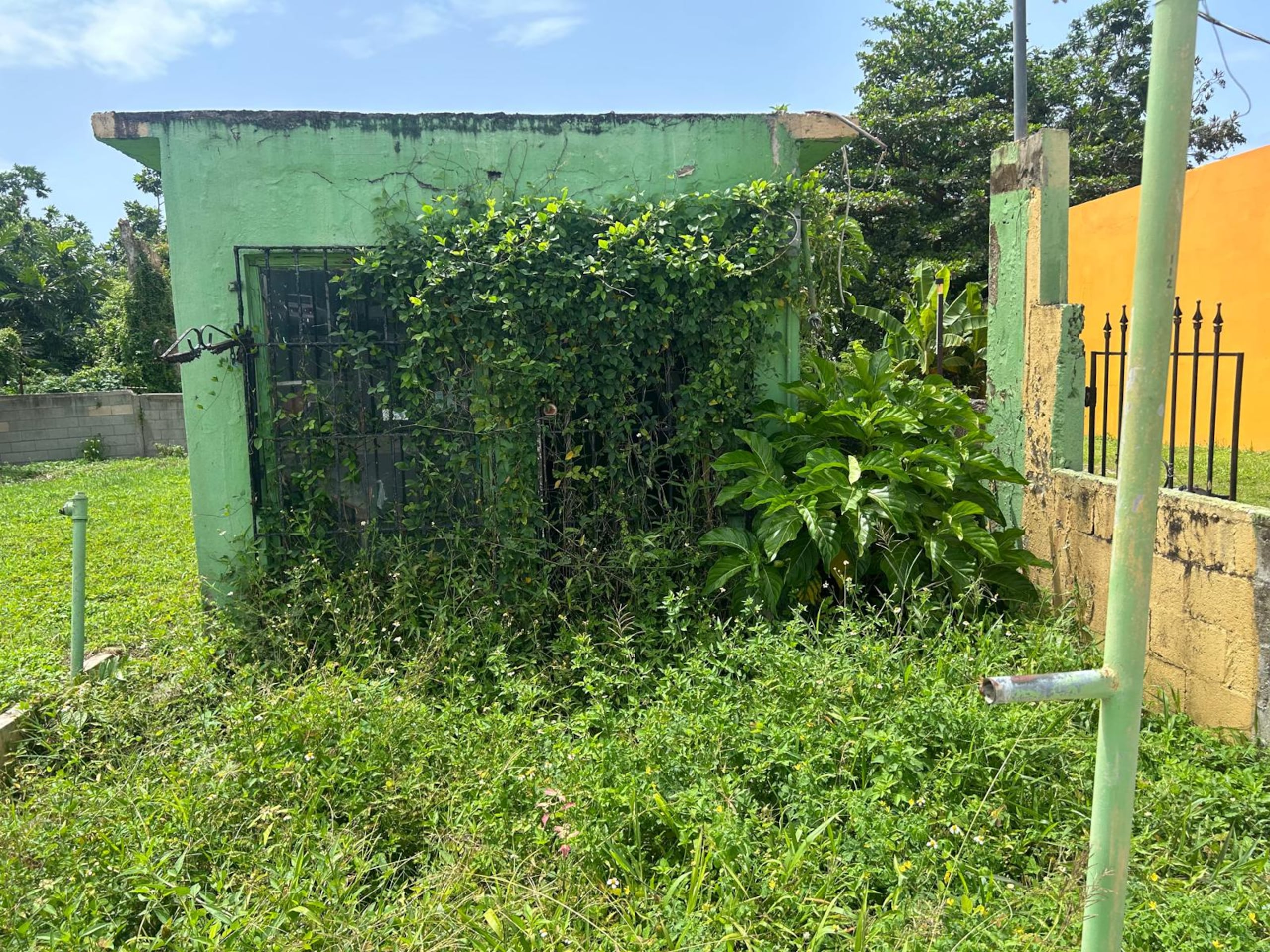 La maleza se apropia de las estructuras.