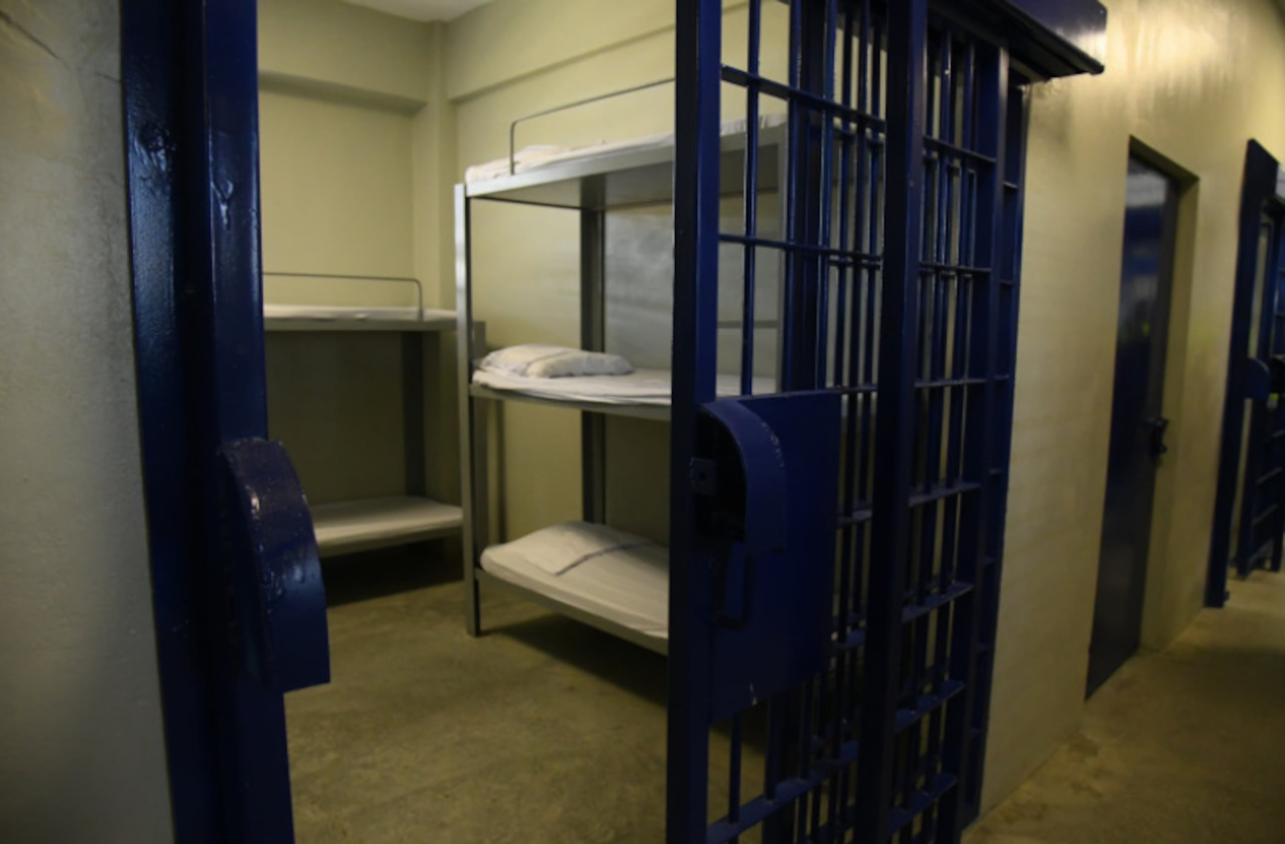 El festejo fue organizado para celebrar el cumpleaños de un cabecilla conocido con el alias de Pocho, así como la posible salida de prisión de otro interno identificado como alias Lindolfo.