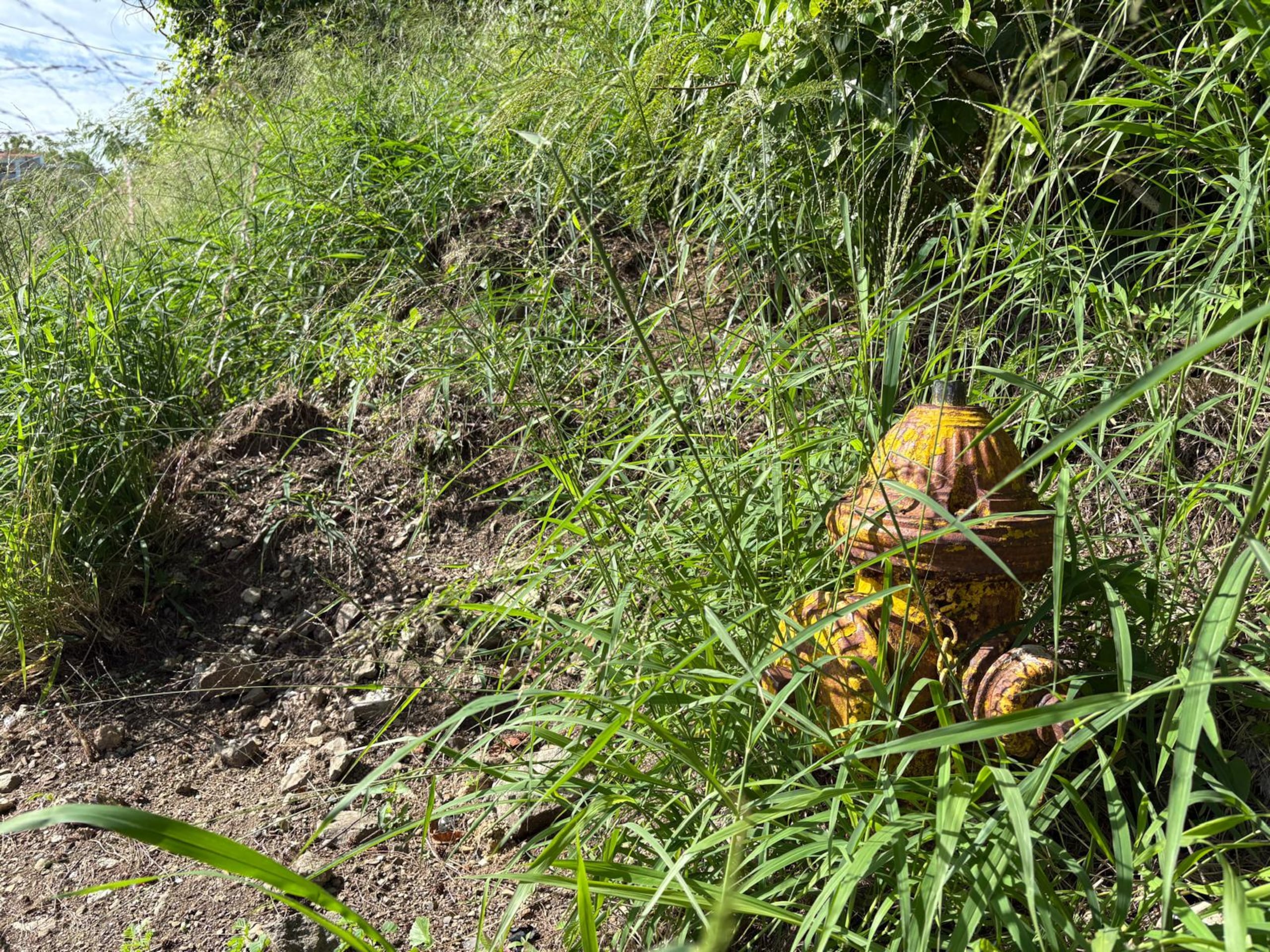 El reemplazo de un hidrante puede ascender a $10,000, dinero que está incluido en el presupuesto de la AAA.