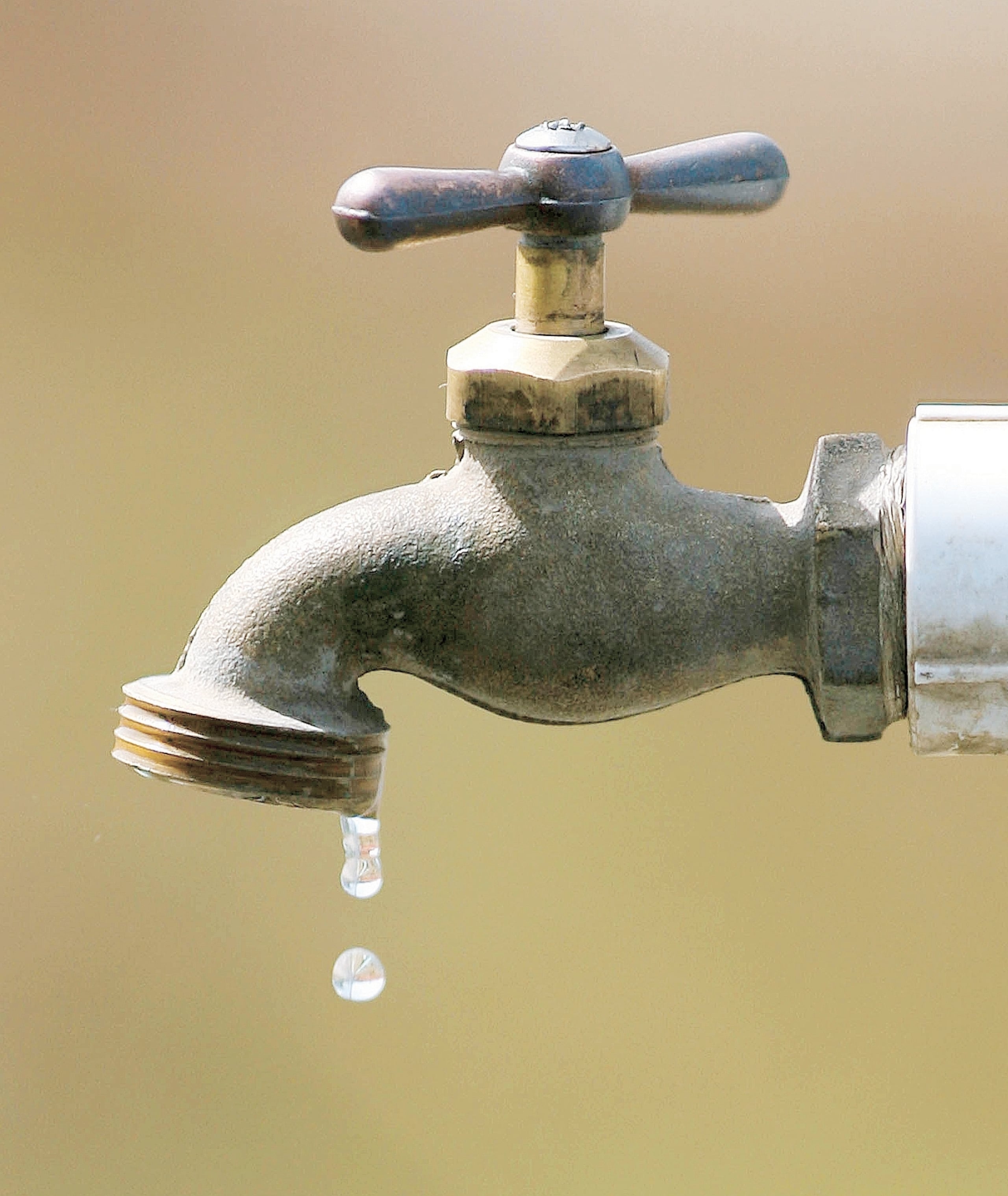 El agua de la planta de filtros de Luquillo superó a las otras nueve que también habían sido preseleccionadas como las mejores de toda la Isla.
Foto por: Ramon Tonito Zayas / Staff