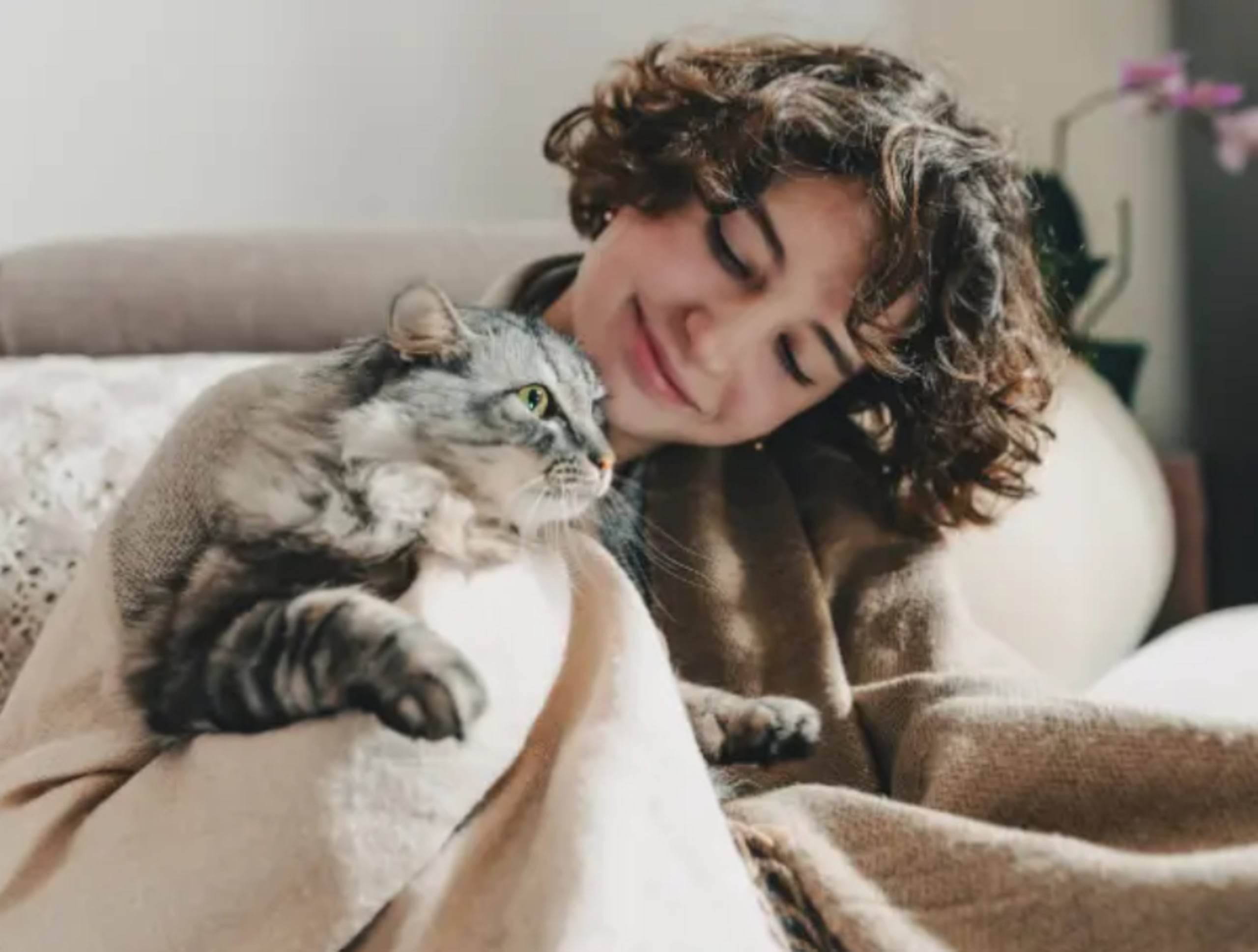 El contacto con gatos puede aportar apoyo emocional en personas con diferentes estados mentales.