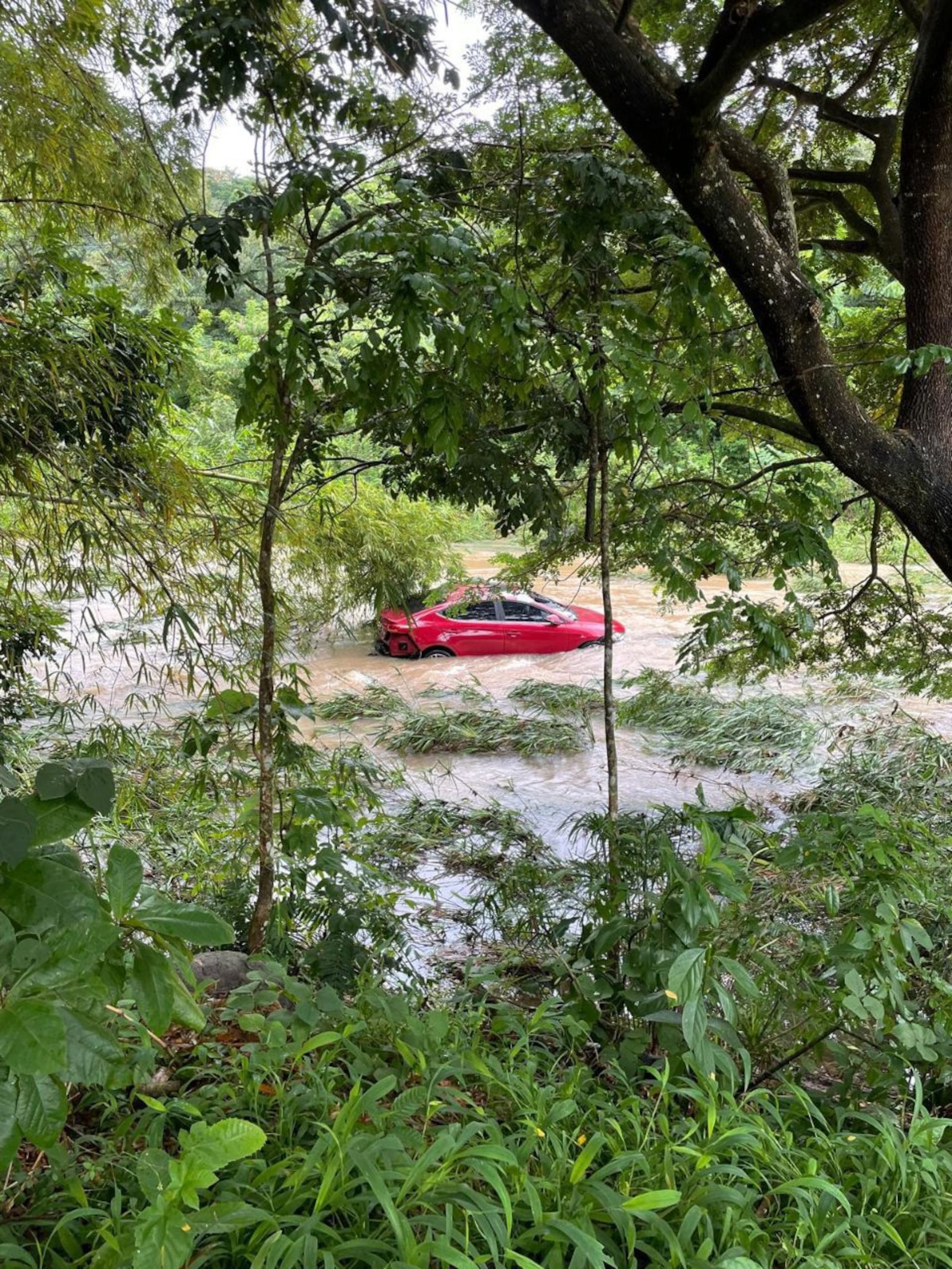 Según datos preliminares, el hombre habría sido arrastrado por las corrientes del río Yauco mientras intentaba cruzar un puente en el sector Cotuí del barrio Diego Hernández a eso de las 3:00 de la madrugada.