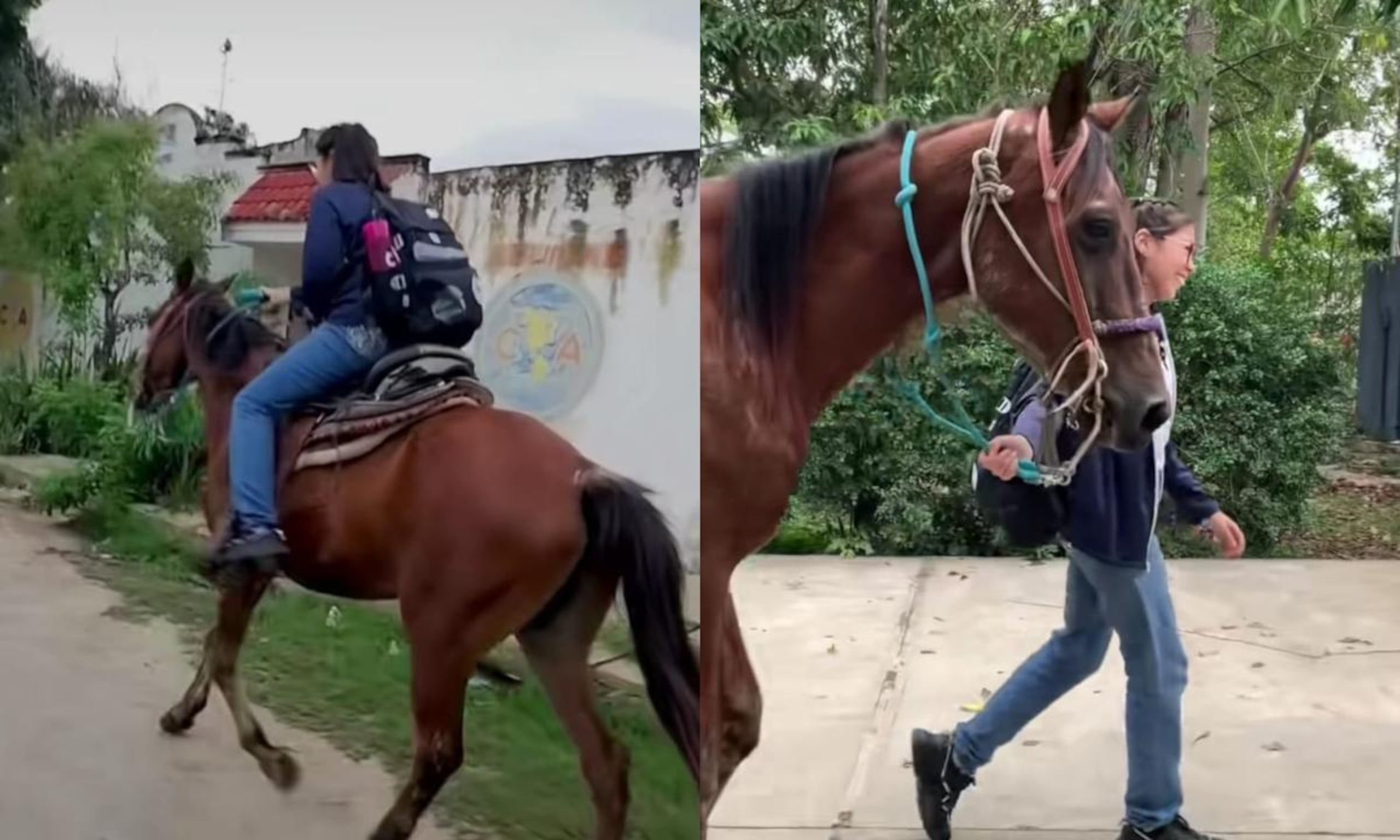 La joven estudia en Yucatán, México.