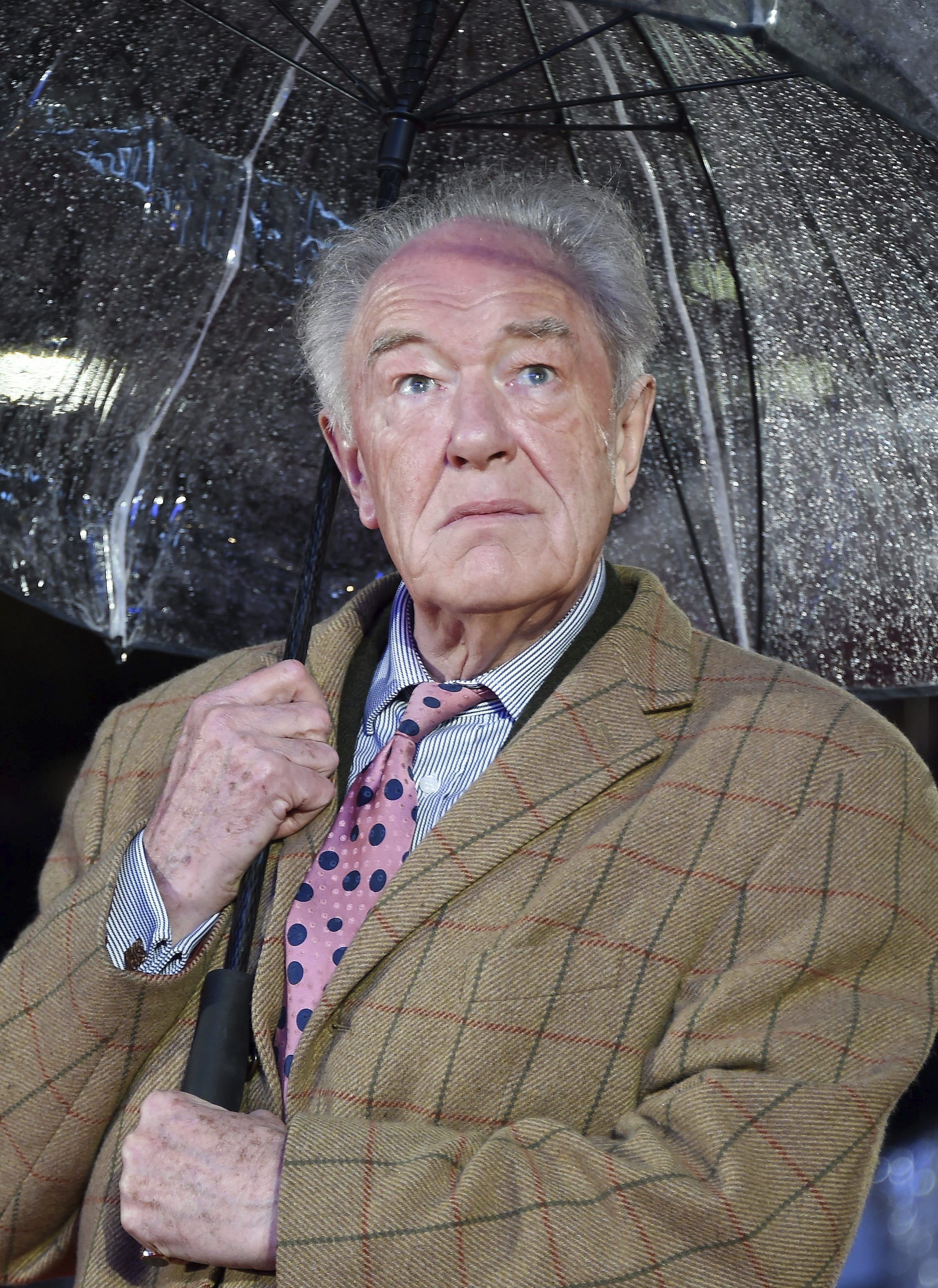 El actor Michael Gambon.