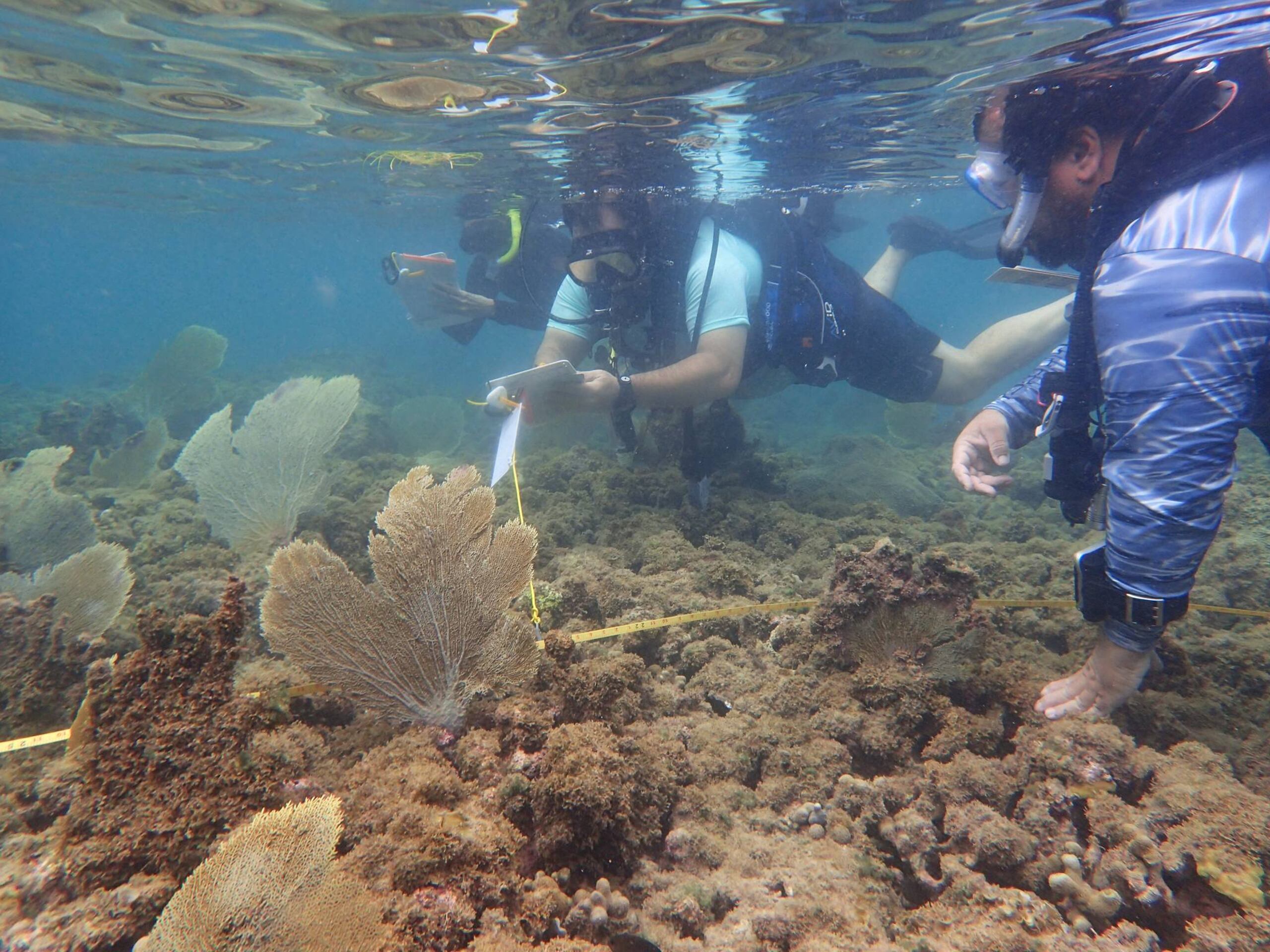 En el espacio se monitorean las especies y se evalúa constantemente la calidad del agua.