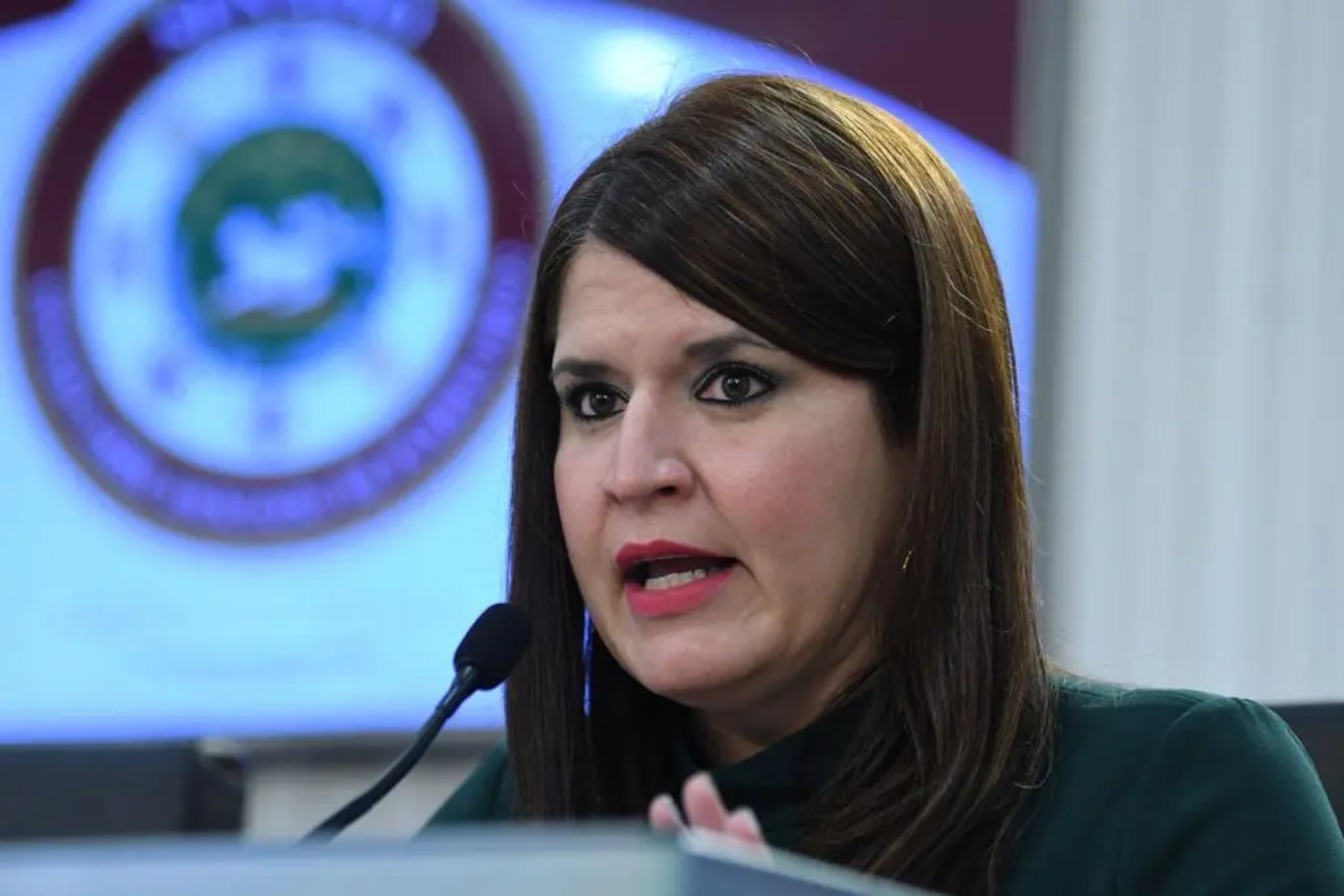 El PS 942 fue radicado el 19 de julio de 2022 por Gretchen Hau, quien entonces era senadora y ahora es representante a la Cámara.