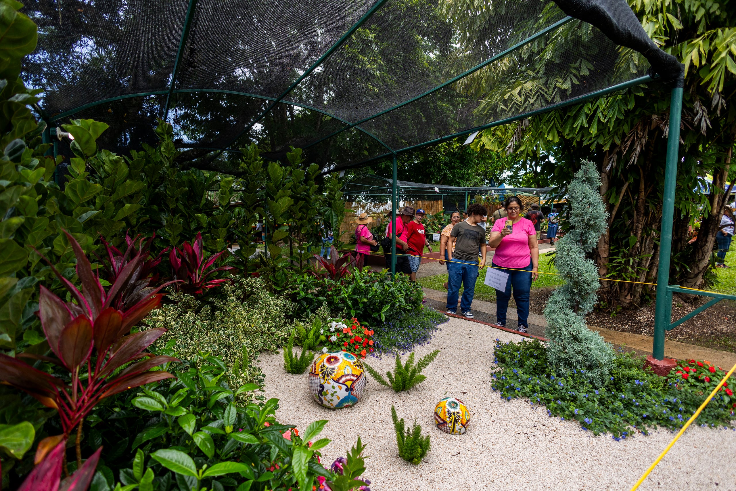 El Festival de las Flores continúa en Aibonito.