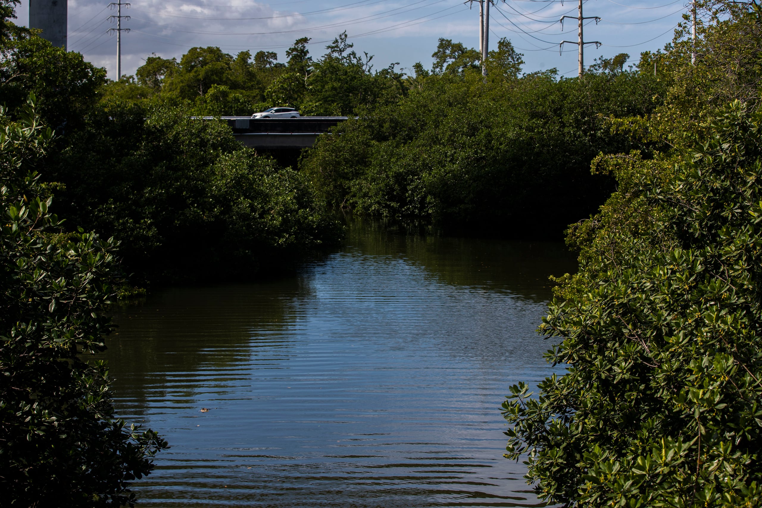 El Proyecto cuenta con la autorización del Congreso de los Estados Unidos desde el 2007 a través de la Sección 5127 de la Ley de Desarrollo de Recursos Hídricos.