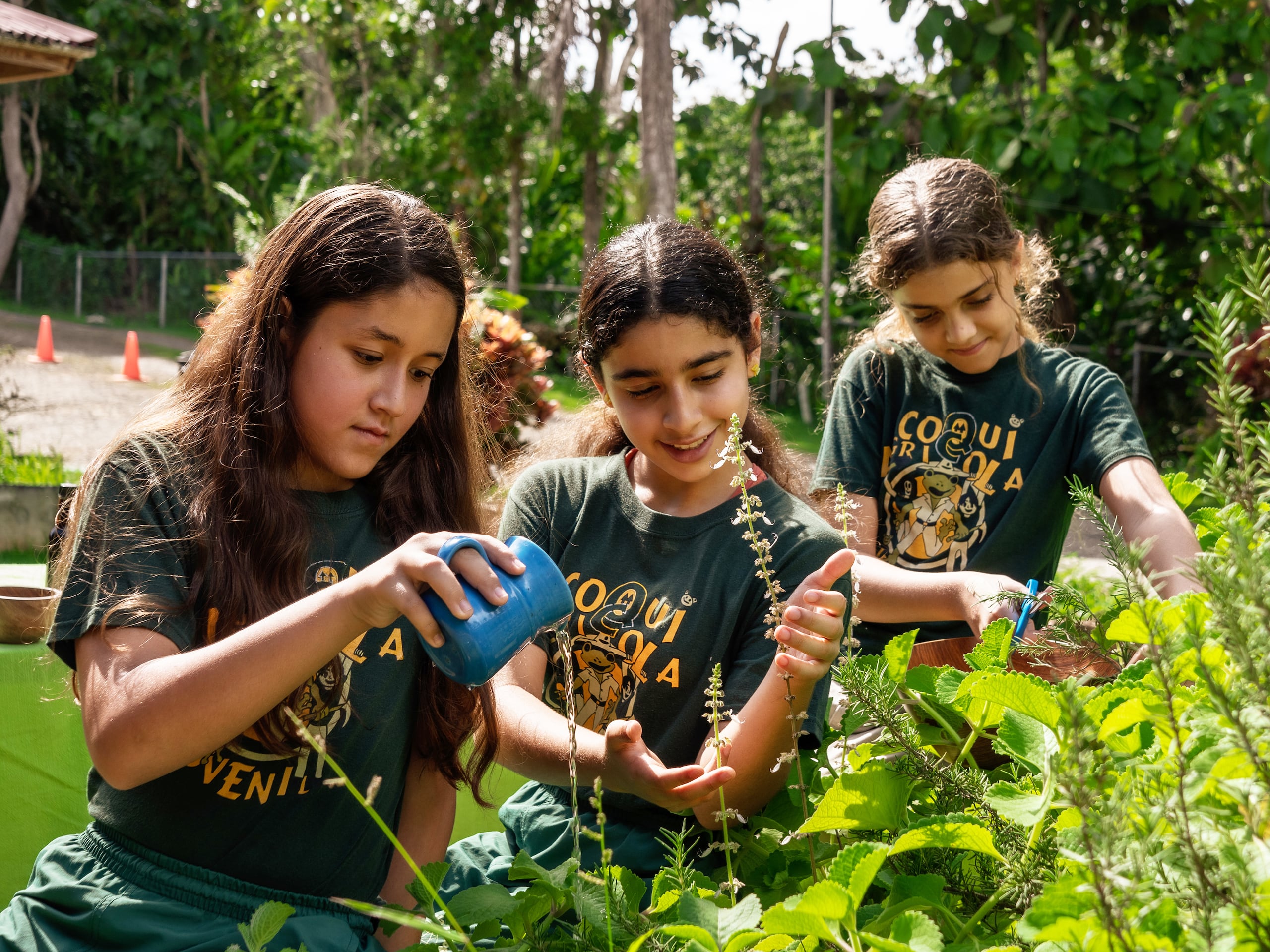Apoyando a los futuros agricultores. Como empresa puertorriqueña, Supermercados Selectos reitera su compromiso con la agricultura local con la creación del programa de becas Selectos FFA Grant.