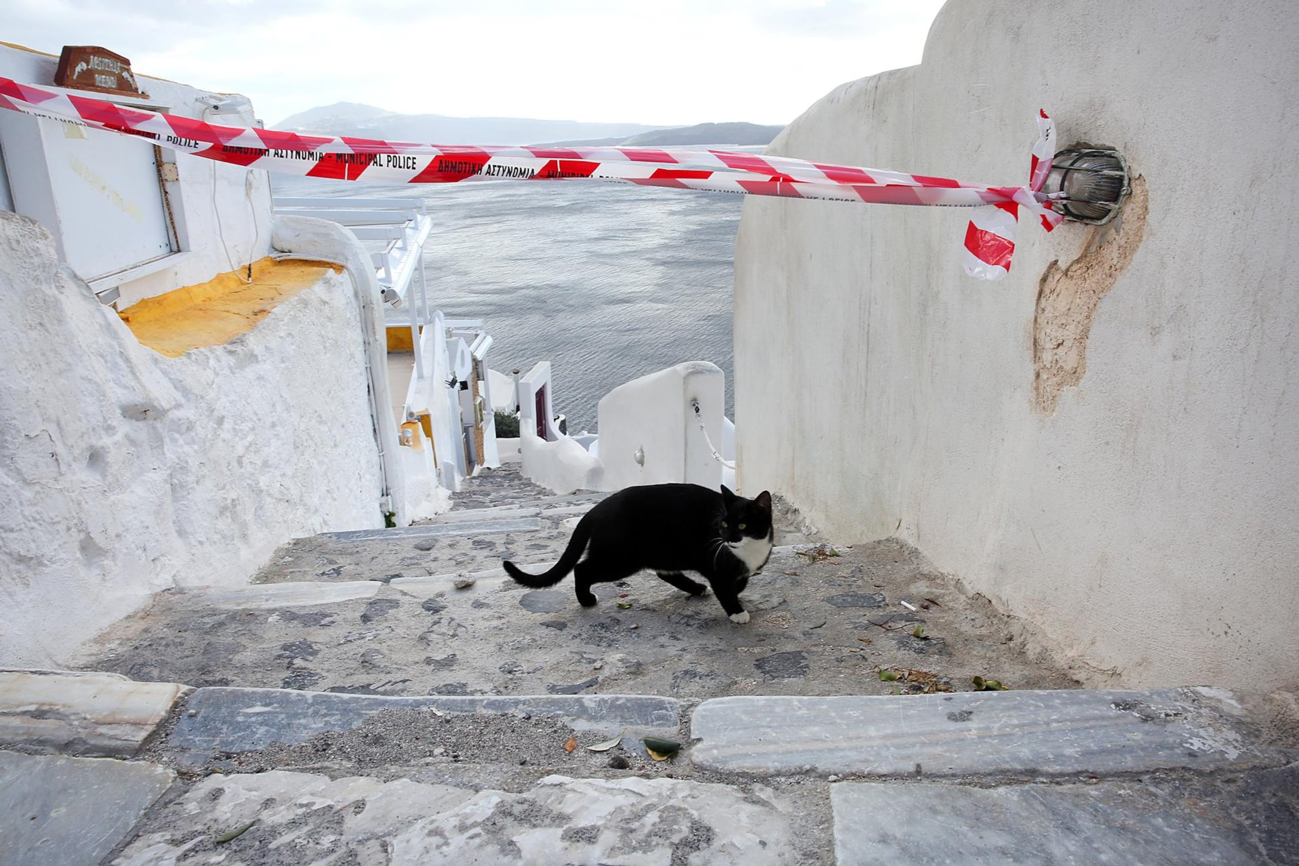 Un gato cruza un cordón policial en el pueblo de Oia, en la isla de Santorini, Grecia, el 5 de febrero de 2025.