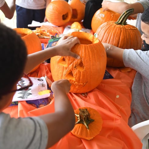 FOTOS: Lo que encontrarás en el Pumpkin Patch en Canóvanas